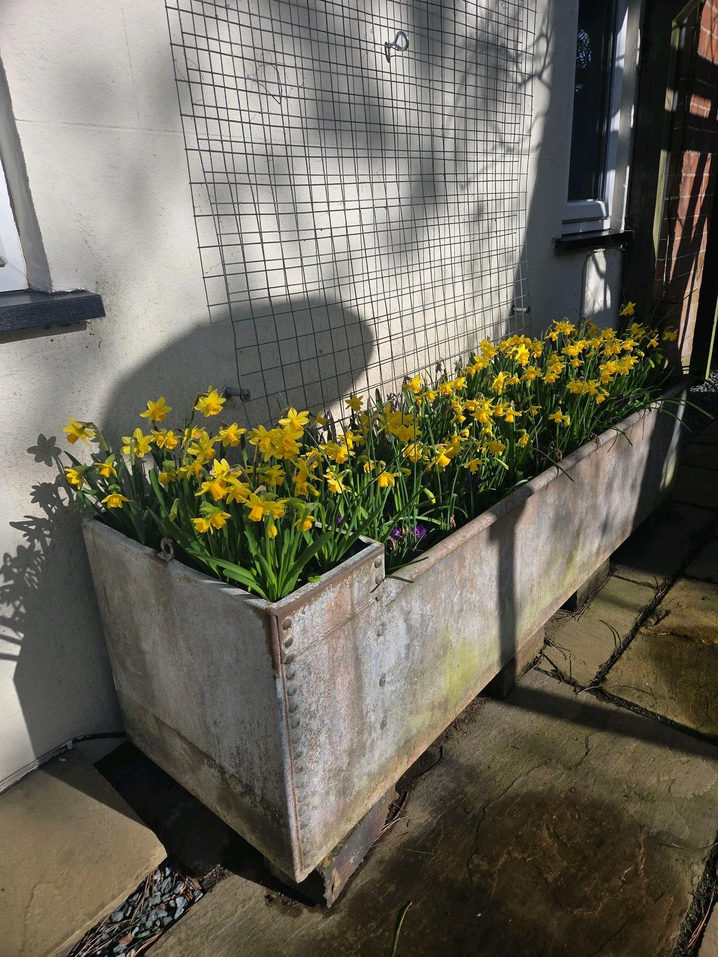 A few maintenance photos from some of the larger lawns we maintain in Nuneaton and Fillongley, looking great in the spring sun last month!