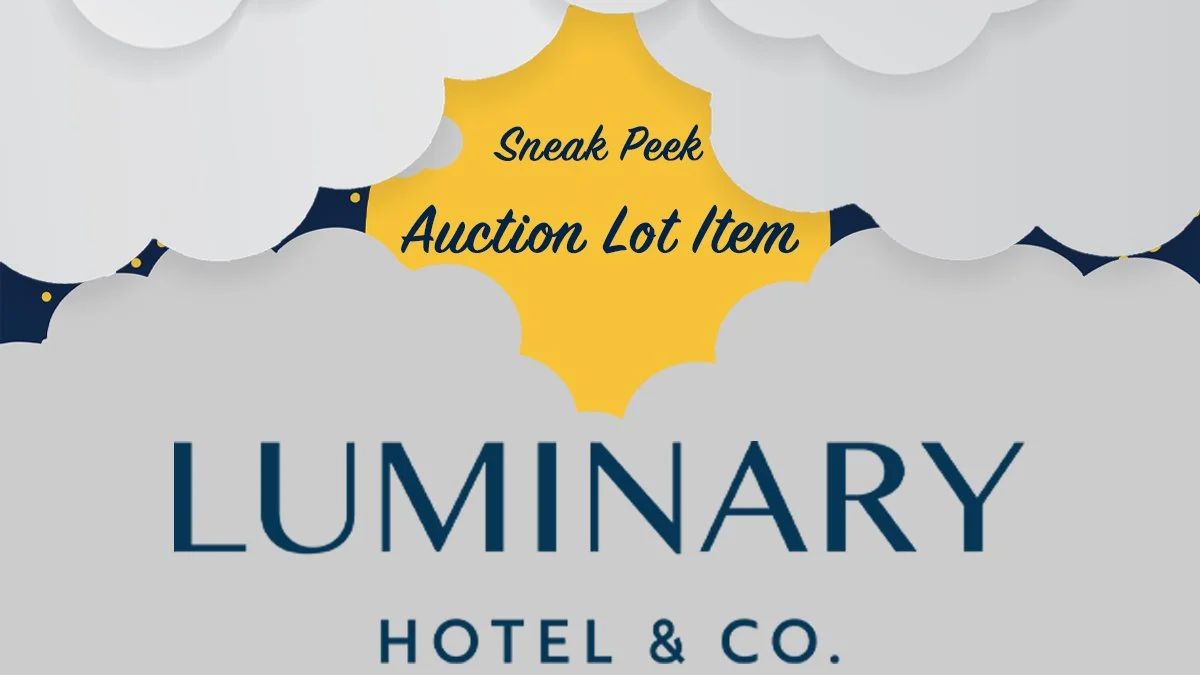 Luminary Twitter.jpg