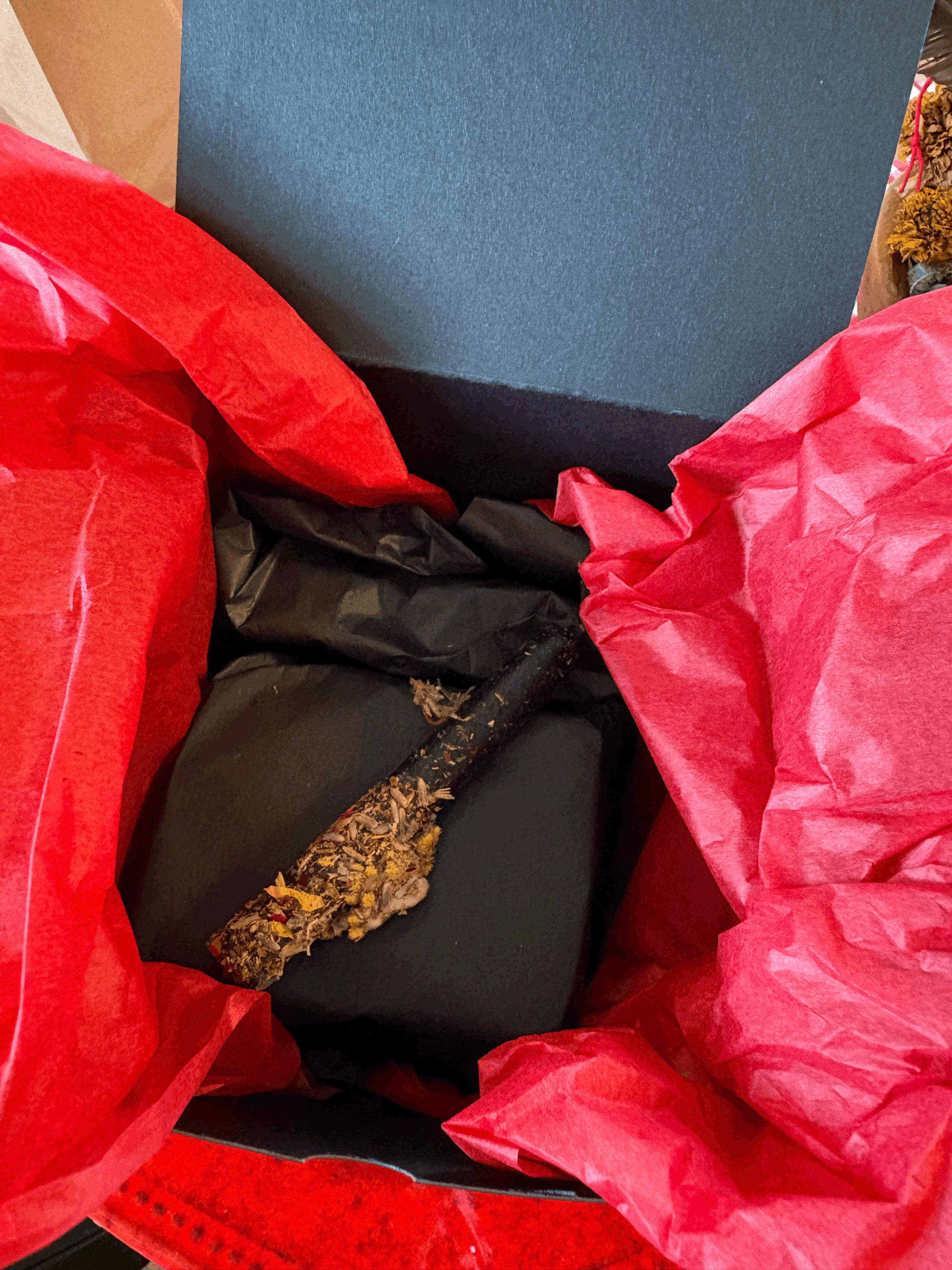 tempImageN6XoKj.gif