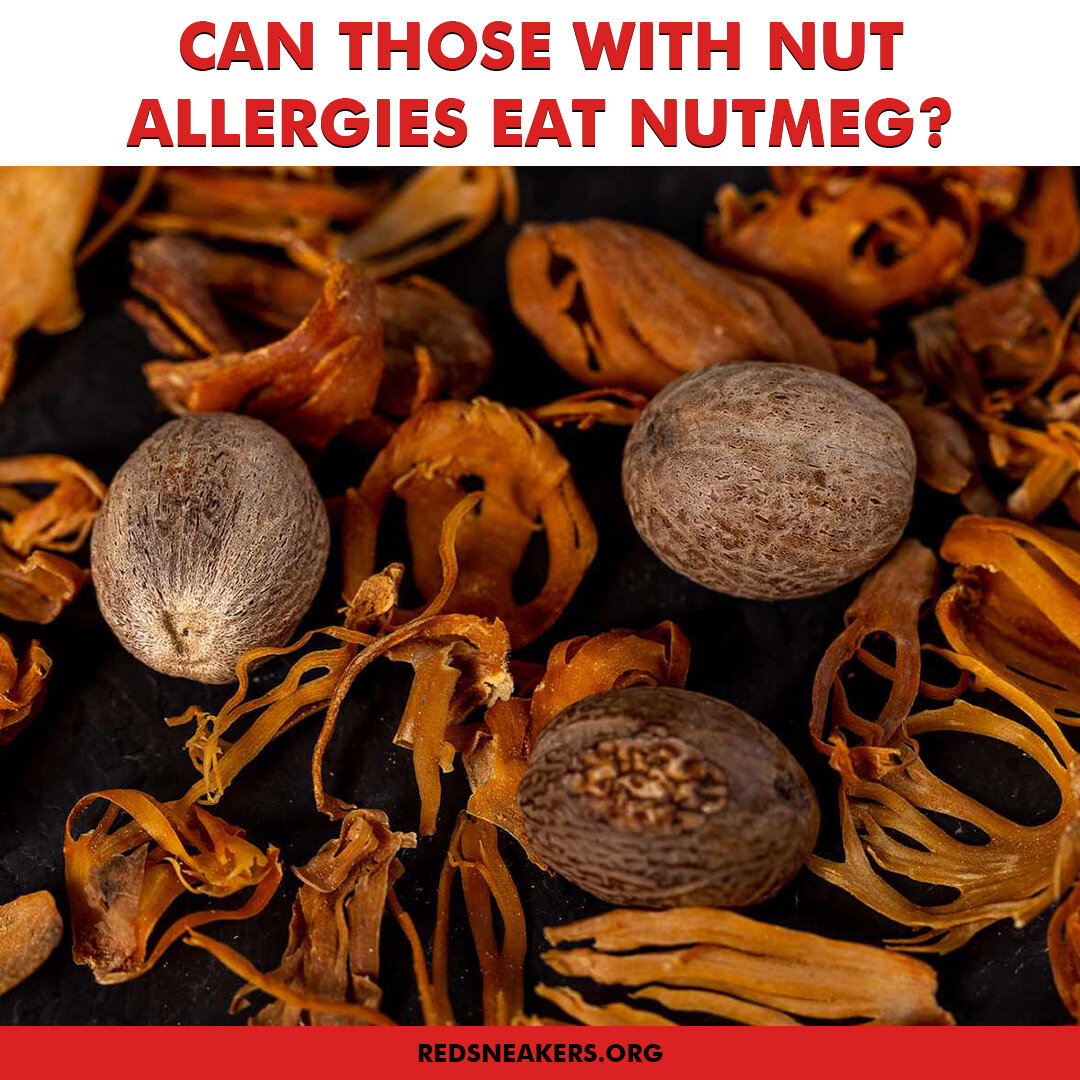 Yes, you can eat nutmeg if you have a nut allergy. Nutmeg is not a nut.

Although the word &quot;nutmeg&quot; contains the word &ldquo;nut,&rdquo; it is not related to peanuts or tree nuts.

Nutmeg is a dried seed, which is ground to make a spice.

T