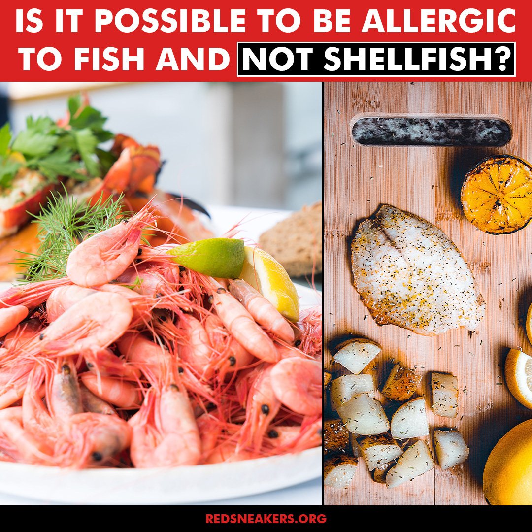 Yes, you can be allergic to fish and not shellfish (and vice versa). 👇

Why?

Because fish and shellfish are distinct groups of seafood, and allergies to them are caused by different proteins.

Fish allergies are typically triggered by proteins foun