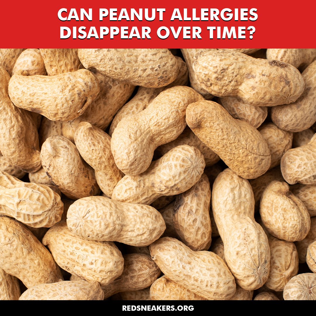 Is it possible to outgrow a peanut allergy? 🥜 While some individuals may continue to experience peanut allergies throughout their lives, others may see a reduction or even complete resolution of their allergy symptoms.

Children, in particular, are 