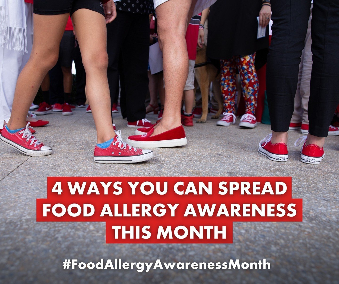We are already halfway through #FoodAllergyAwarenessMonth, but there&rsquo;s still plenty of time to spread awareness! Here are 4 things you can do this month to help the #foodallergycommunity:

1️⃣ EDUCATE YOUR LOCAL COMMUNITY
&bull; Consider traini