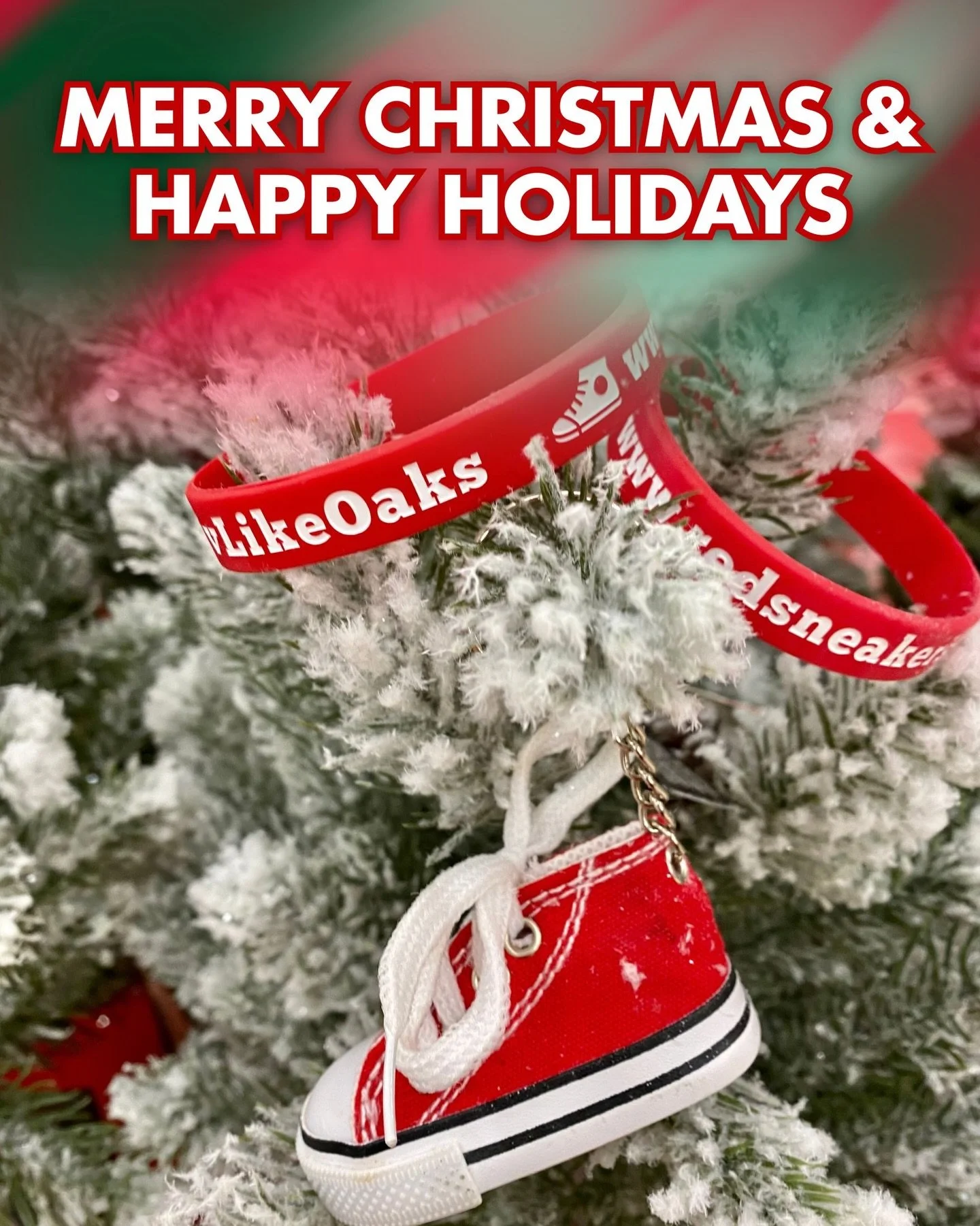 Merry Christmas and Happy Holidays from all of us at Red Sneakers for Oakley ❤️🎄 Thank you for standing with us, supporting our mission, and helping keep kids with food allergies safer every day. We are so grateful for this community. 
 
 
 #foodall
