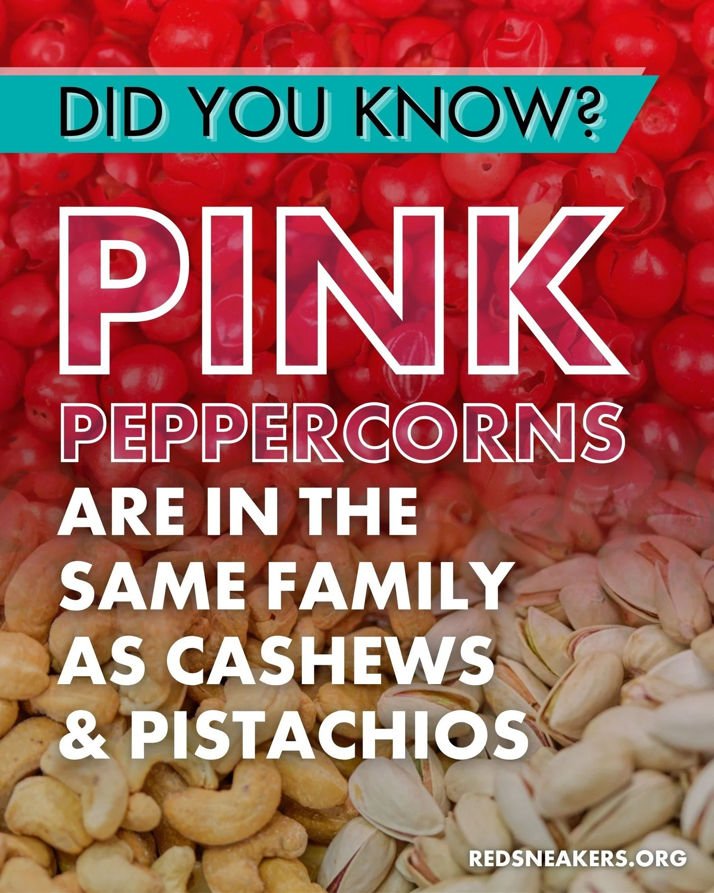 Pink peppercorns aren&rsquo;t actually true peppercorns and may pose a risk for some individuals with tree nut allergies.

Pink peppercorns (also called pink pepperberry, rose pepper, Brazilian pepper, and more) are actually dried berries from the An