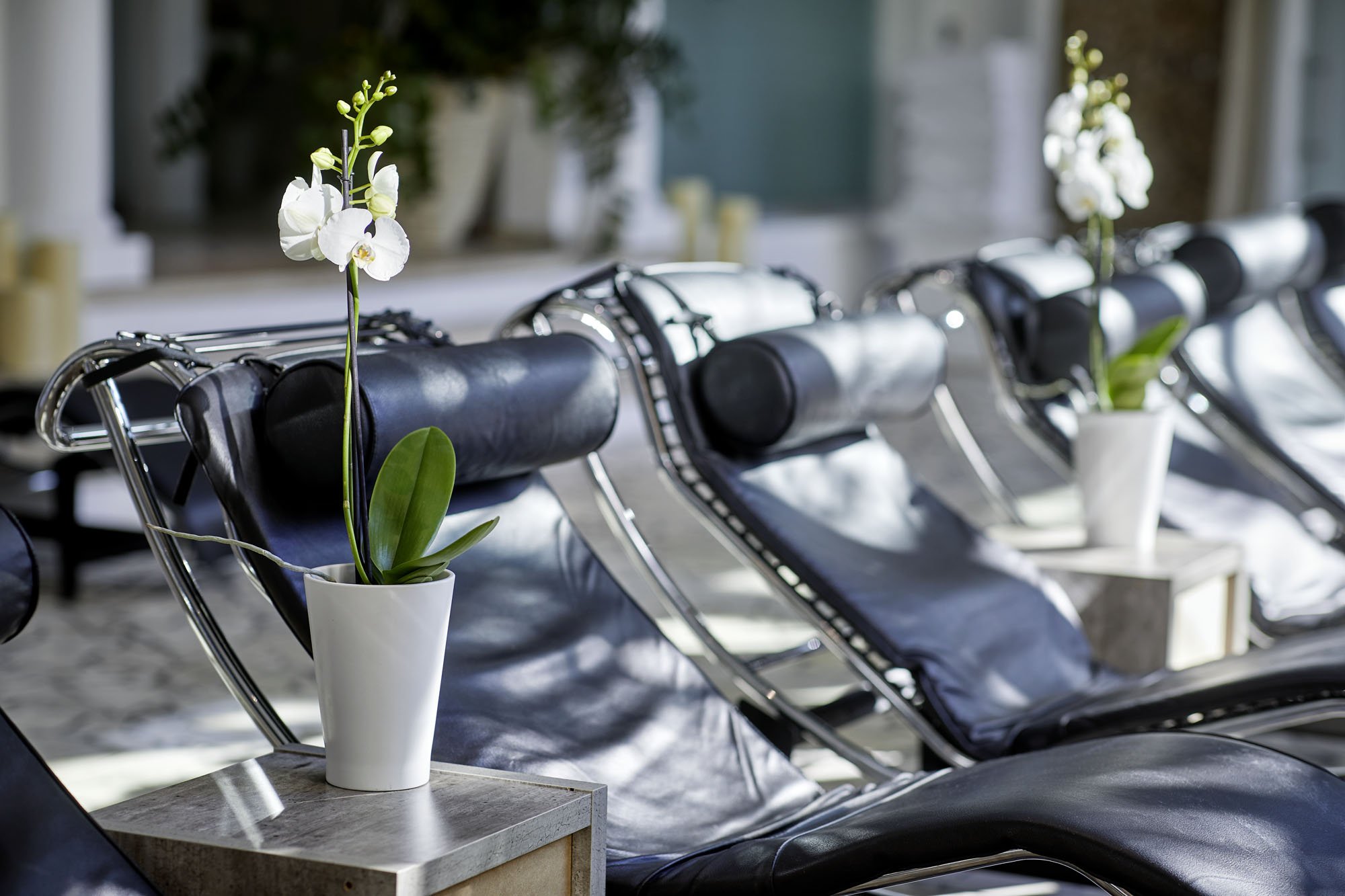 Ruheliegen SPA.jpg