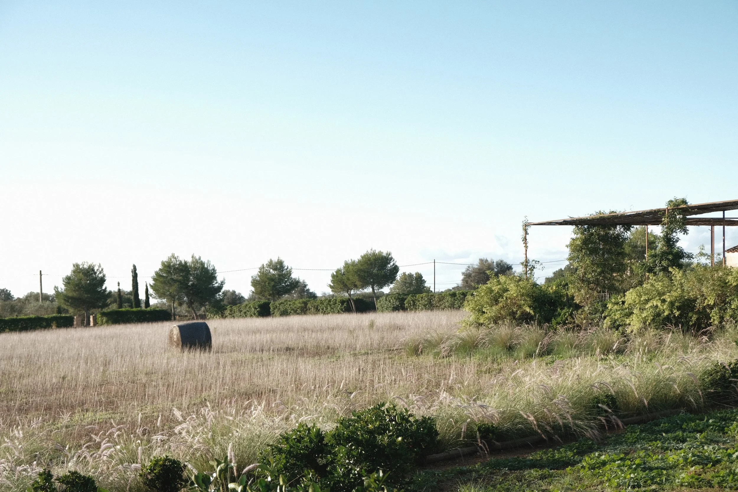 Wild Grace Yoga Retreat, Mallorca: Sacred Wom(b)en