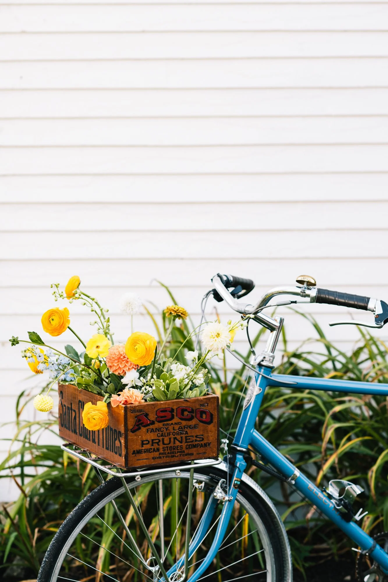 bike-basket-flowers.jpg