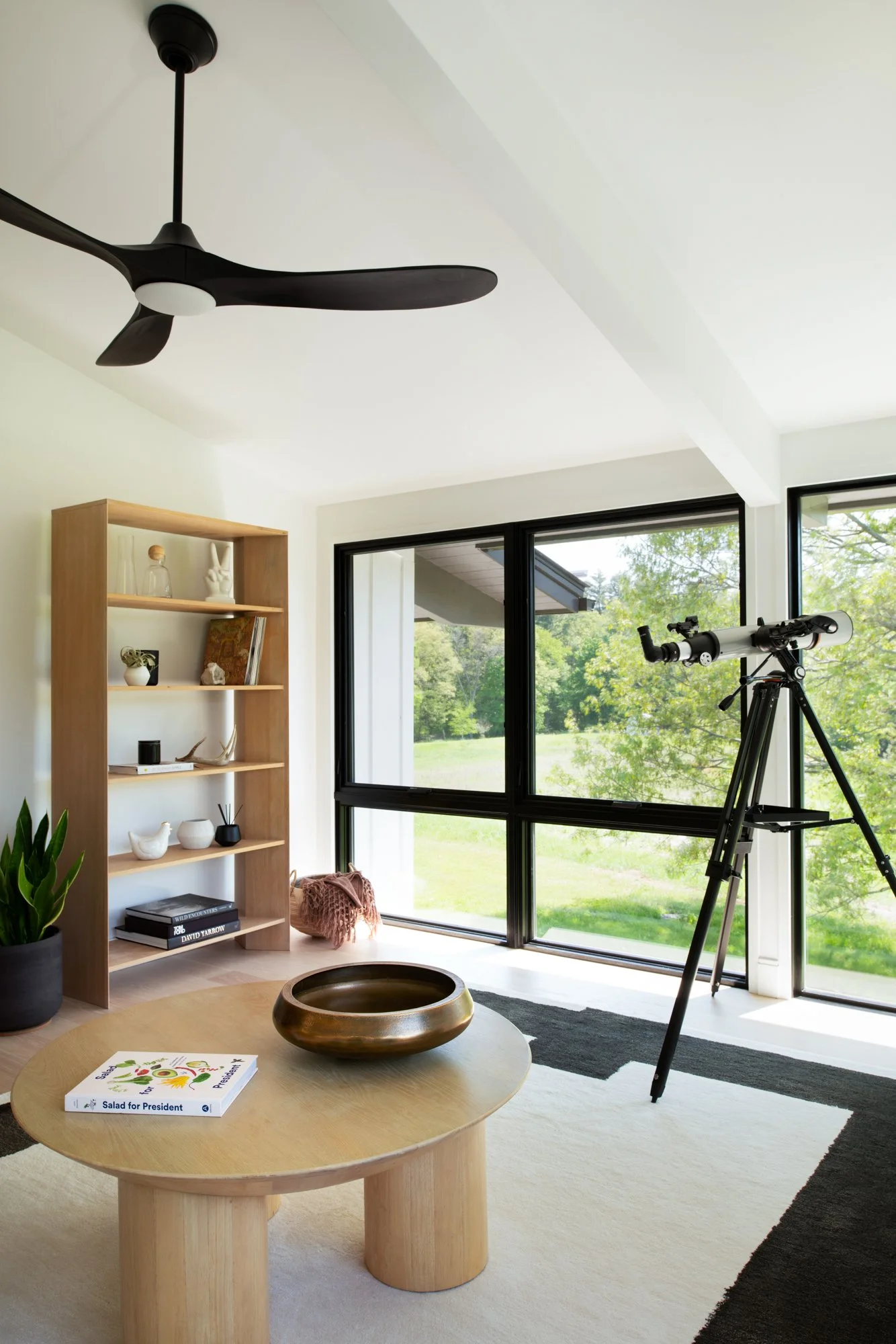 telescope-stargazing-room.jpg