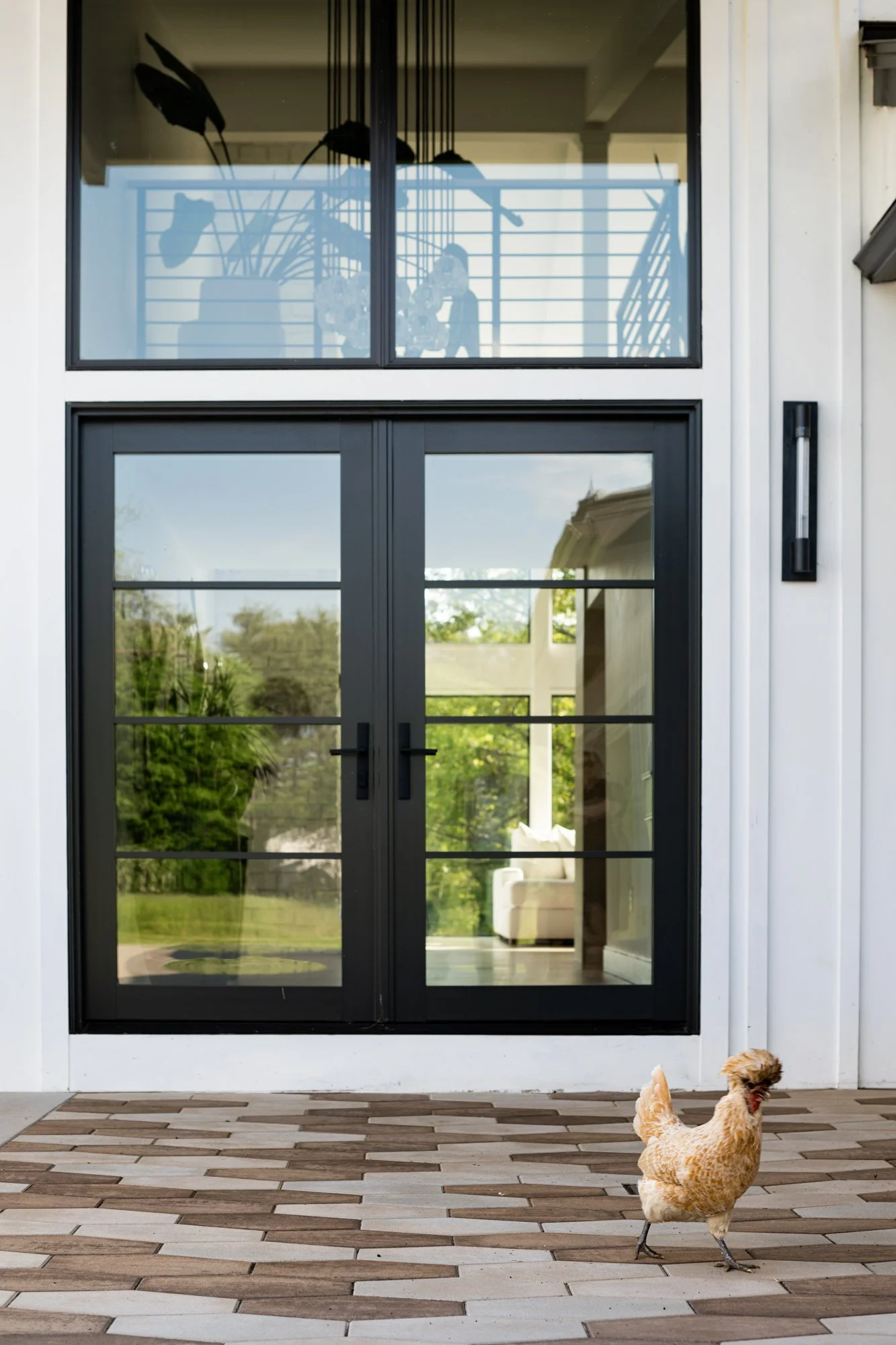 chicken-entryway-contemporary-architecture-newburyport.jpg