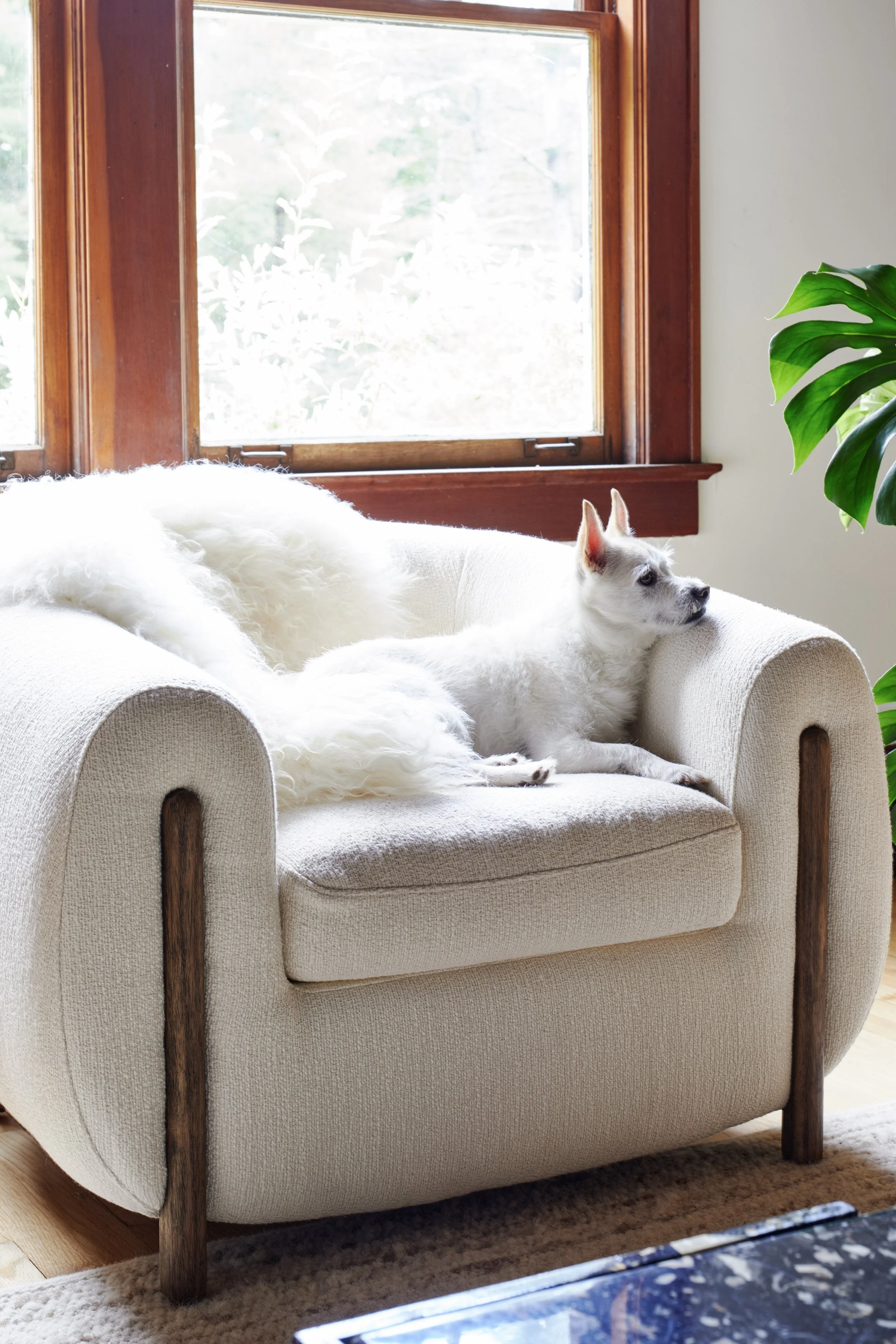 Steven Randazzo
Photographer
Interior + Food
New York