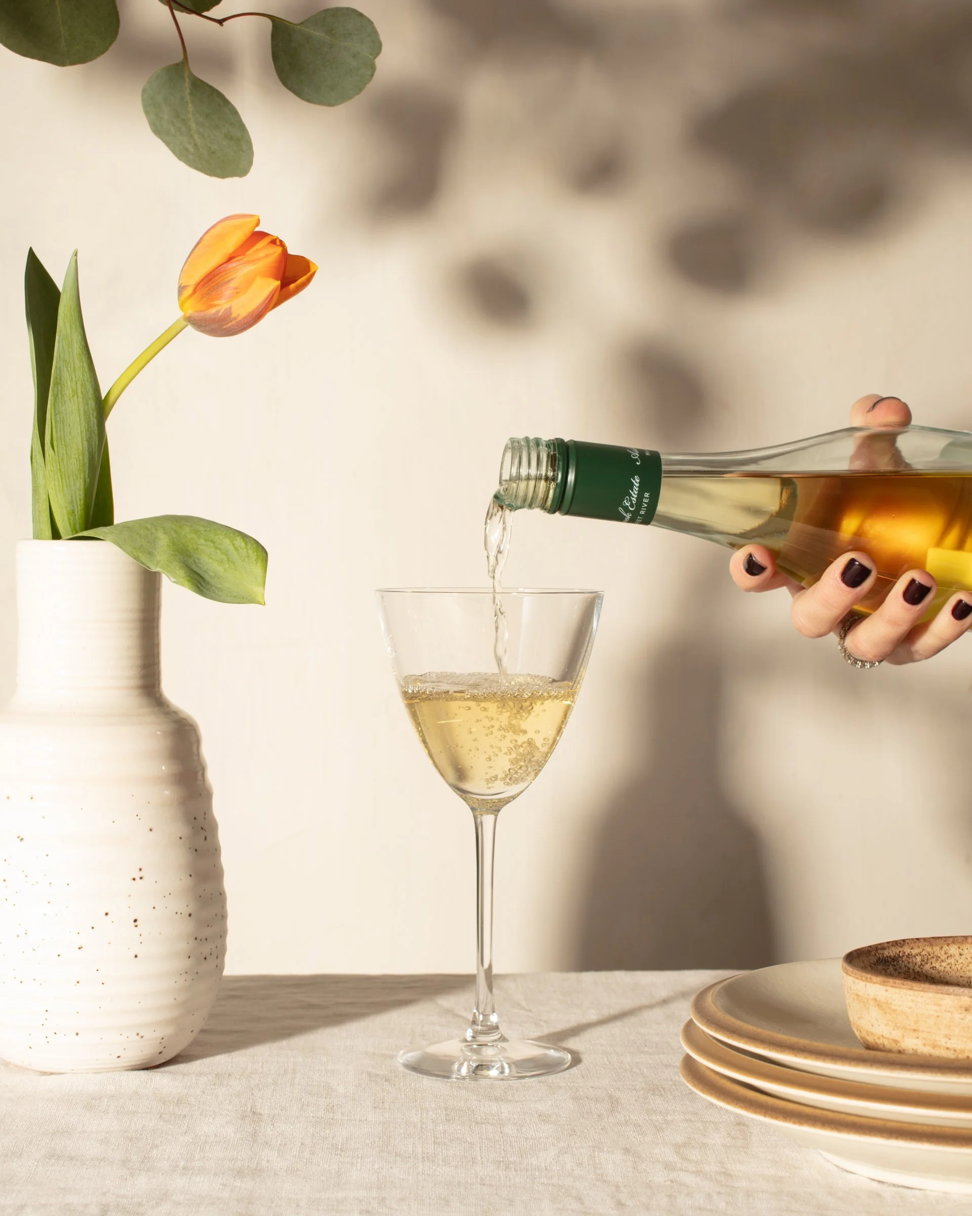 Collins Plonk_MP5B_Collins 2020_11-7203.jpg