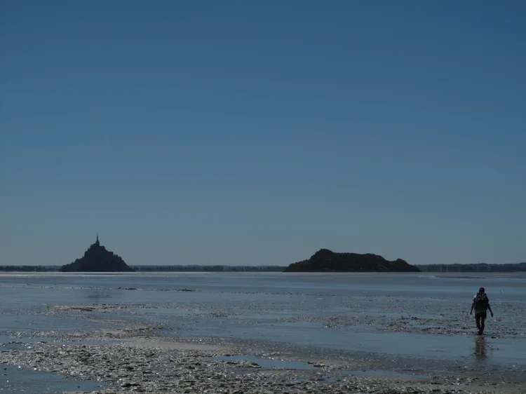 Brocelandia | St Michel | Chartres