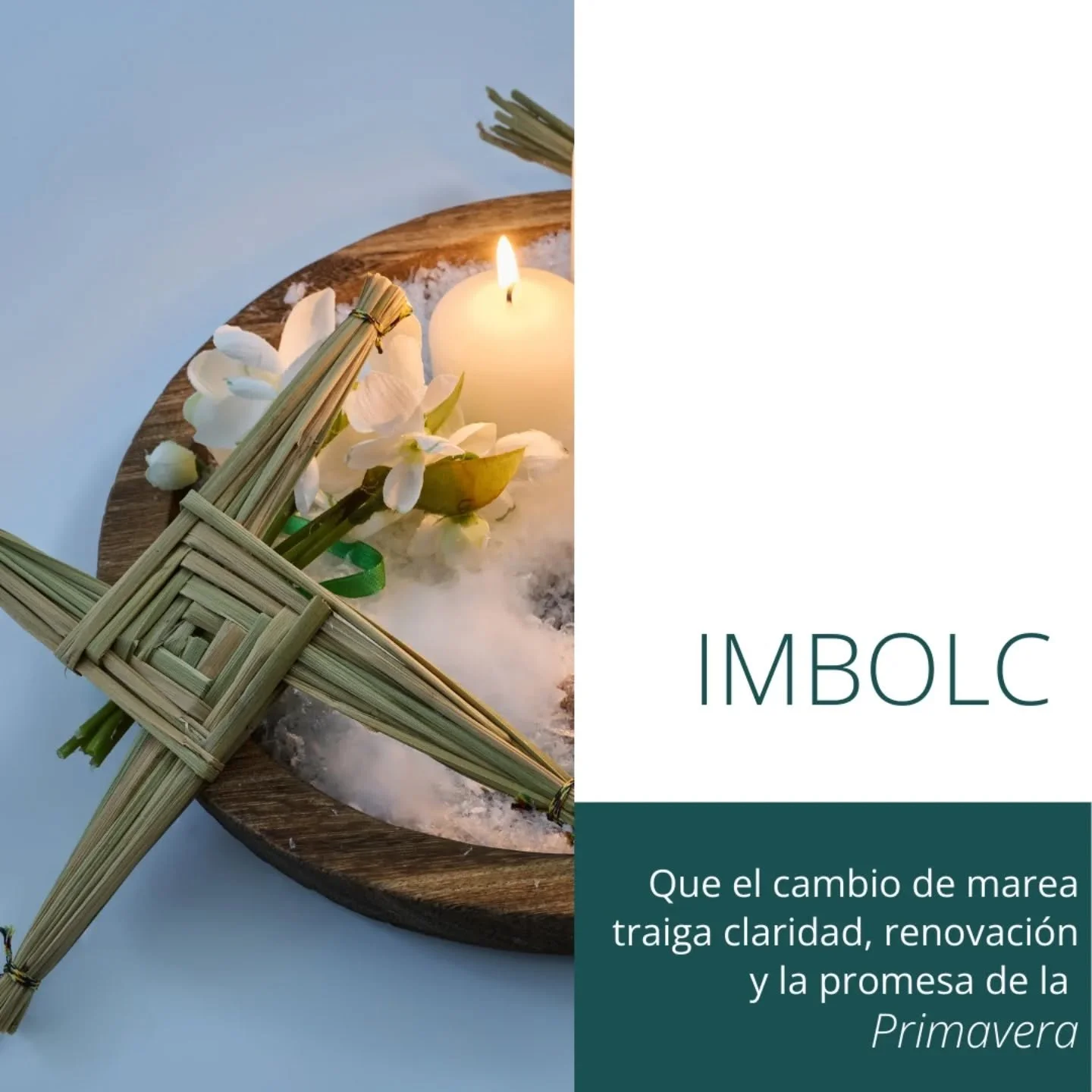 Imbolc se&ntilde;ala el cambio de marea.
La luz comienza a volver
y lo que estaba latente empieza a moverse.

Brigid, fuego que inspira y agua que sana,
nos recuerda que toda renovaci&oacute;n
empieza en lo invisible.

🌱🔥 Feliz Imbolc 🥰

#Imbolc 

