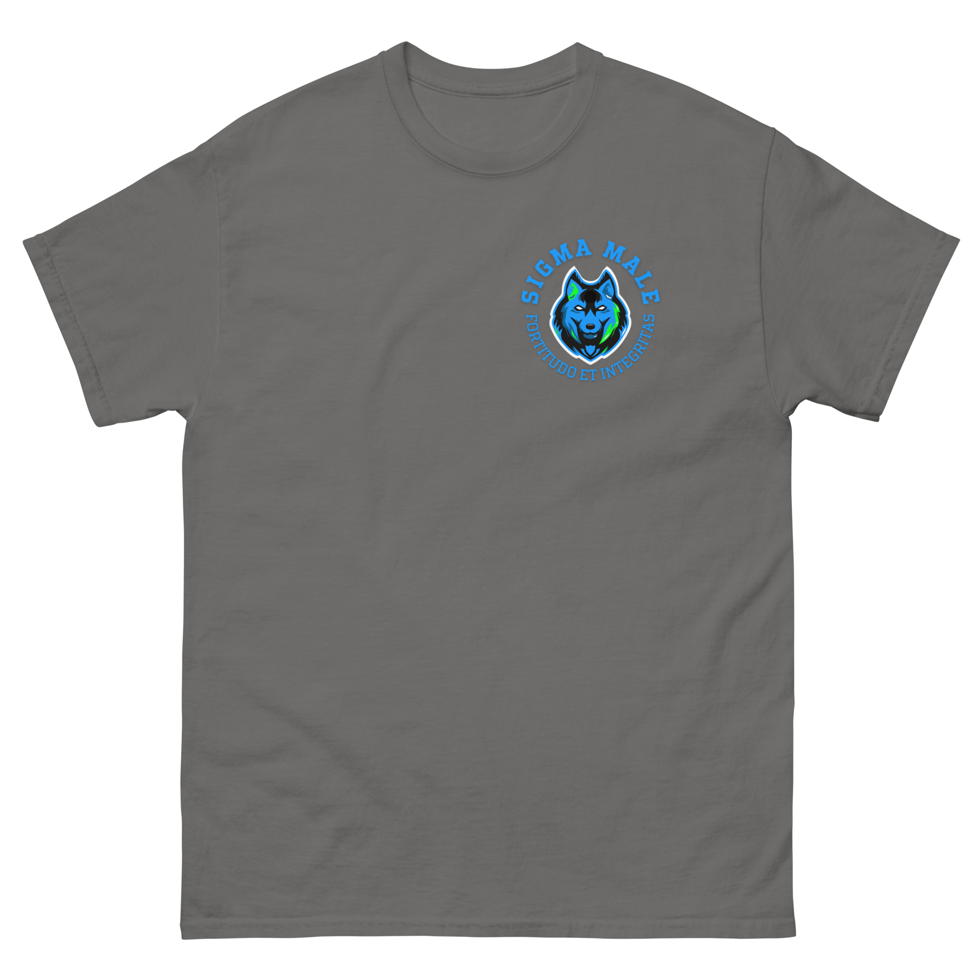 mens-classic-tee-charcoal-front-64f77441a11c8.png