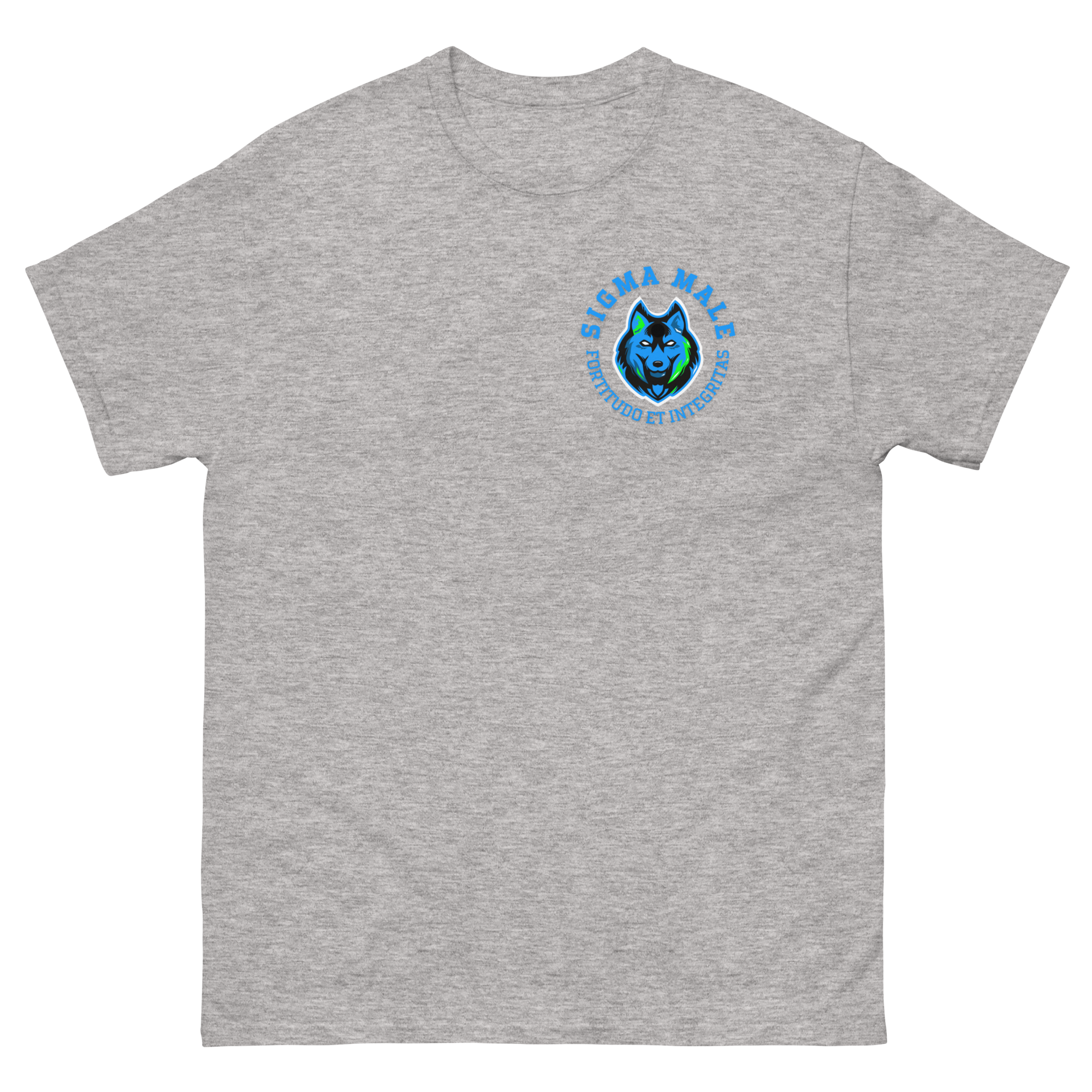 mens-classic-tee-sport-grey-front-64f77441a1c20.png