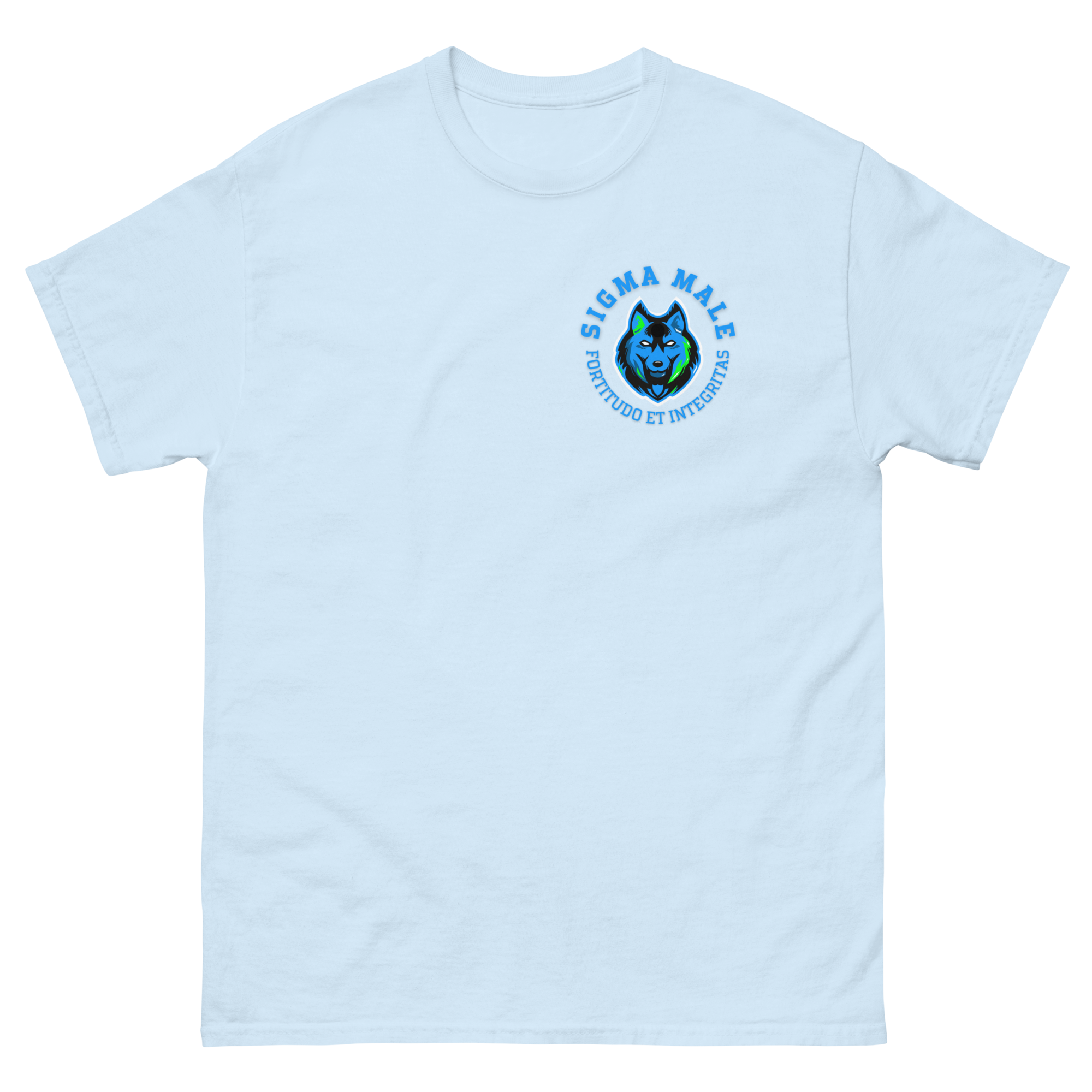 mens-classic-tee-light-blue-front-64f77441a4068.png