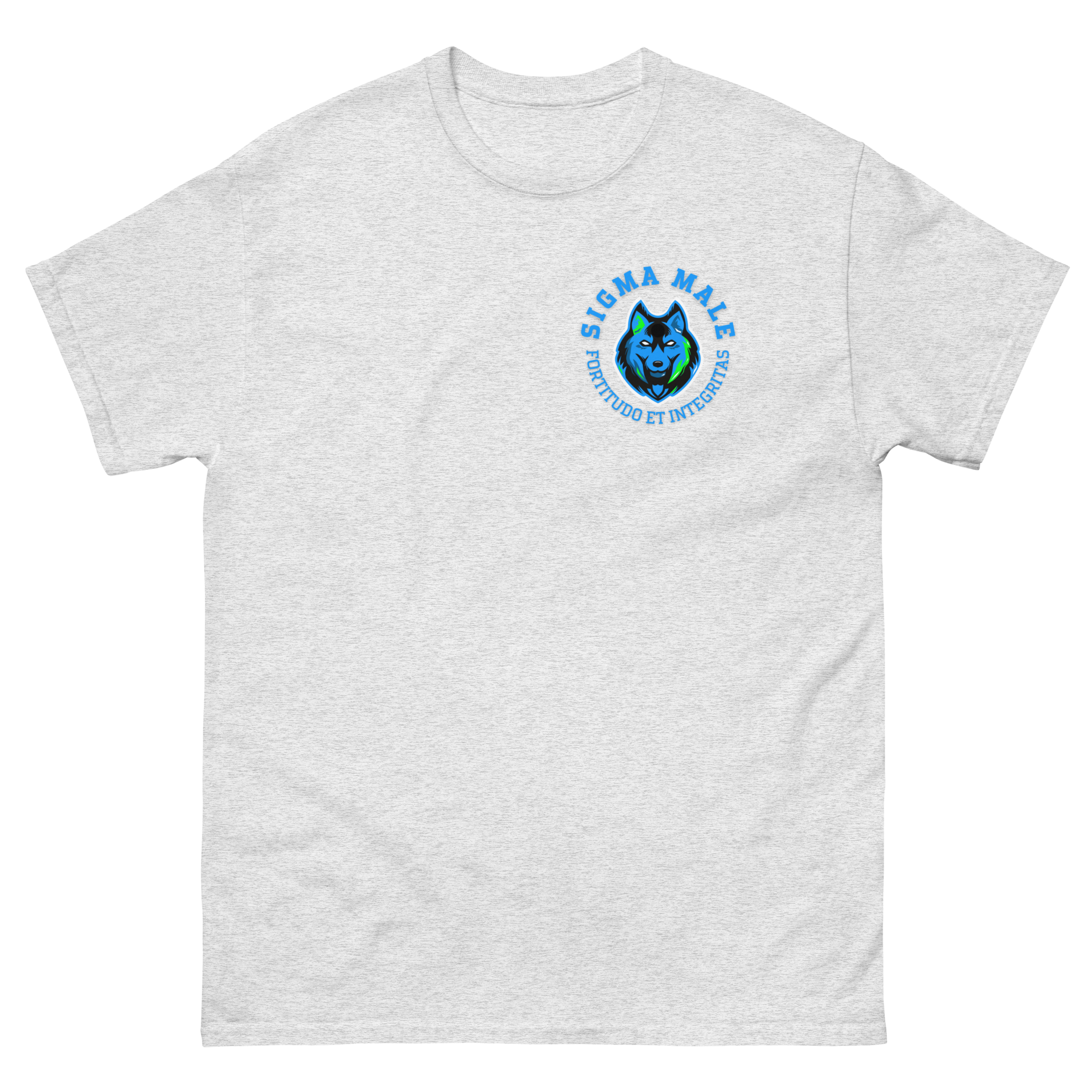 mens-classic-tee-ash-front-64f77441a50db.png