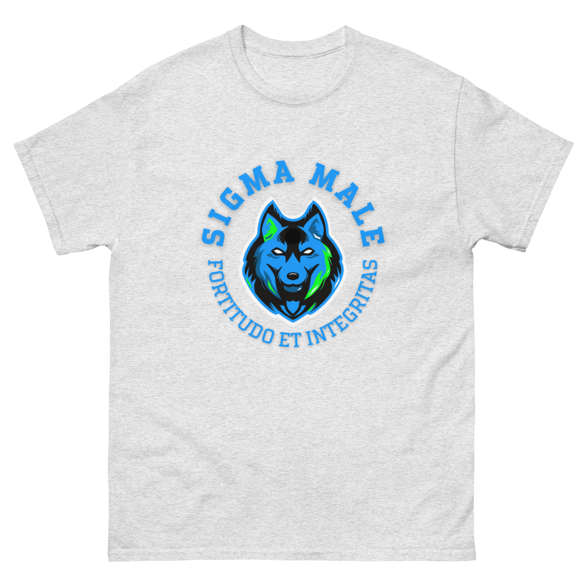 mens-classic-tee-ash-front-64f7782025240.png