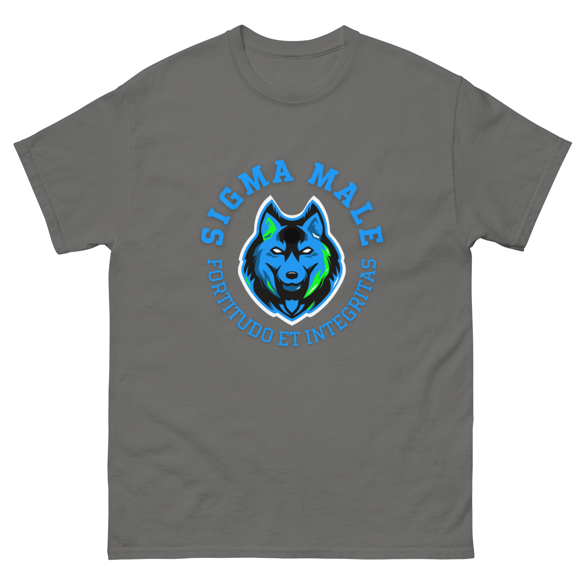 mens-classic-tee-charcoal-front-64f7782029567.png