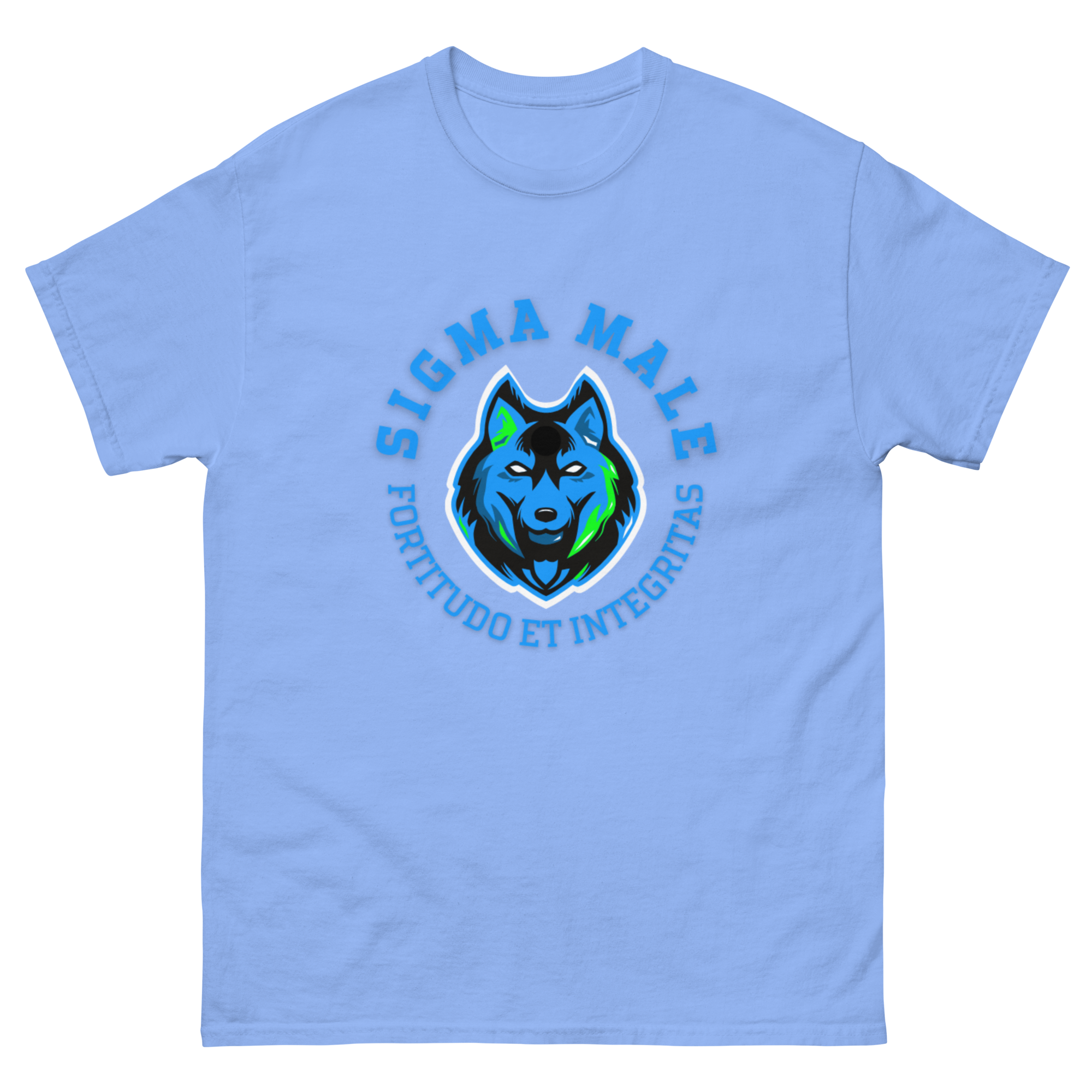 mens-classic-tee-carolina-blue-front-64f778202b947.png