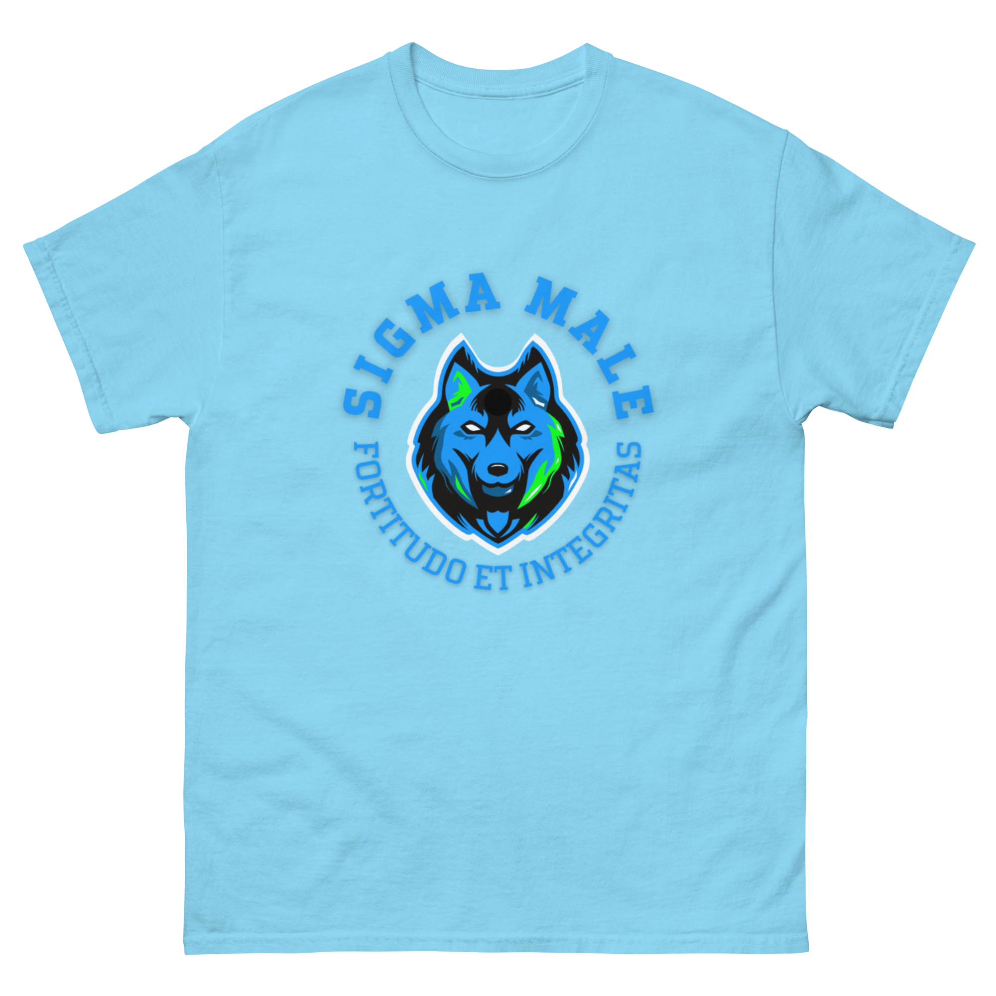 mens-classic-tee-sky-front-64f7782030911.png