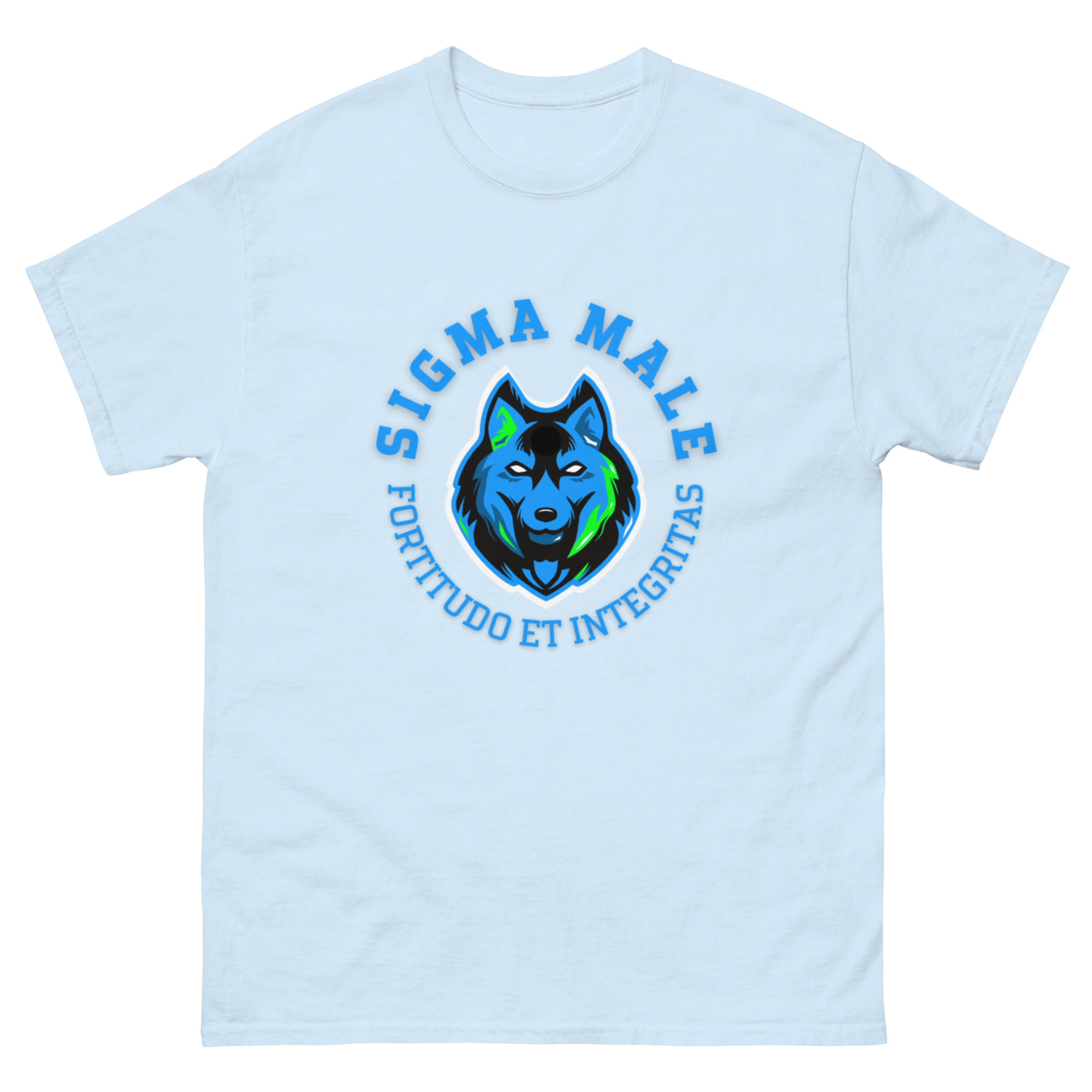 mens-classic-tee-light-blue-front-64f7782033bae.png