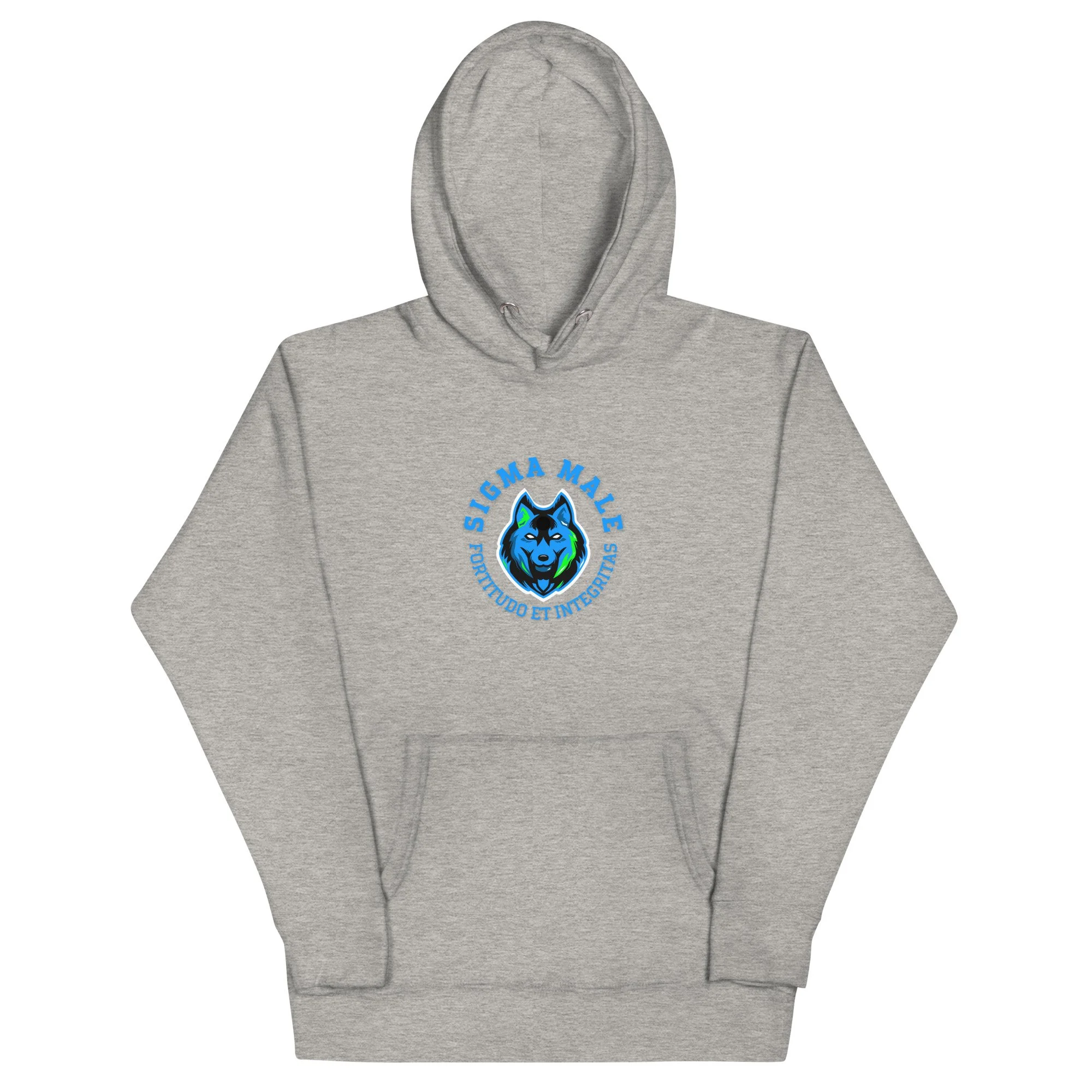 unisex-premium-hoodie-carbon-grey-front-64f77a99170a1.jpg