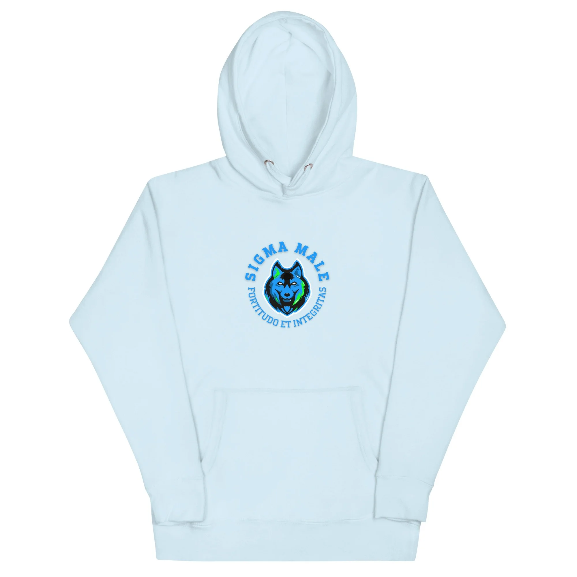 unisex-premium-hoodie-sky-blue-front-64f77a9917372.jpg