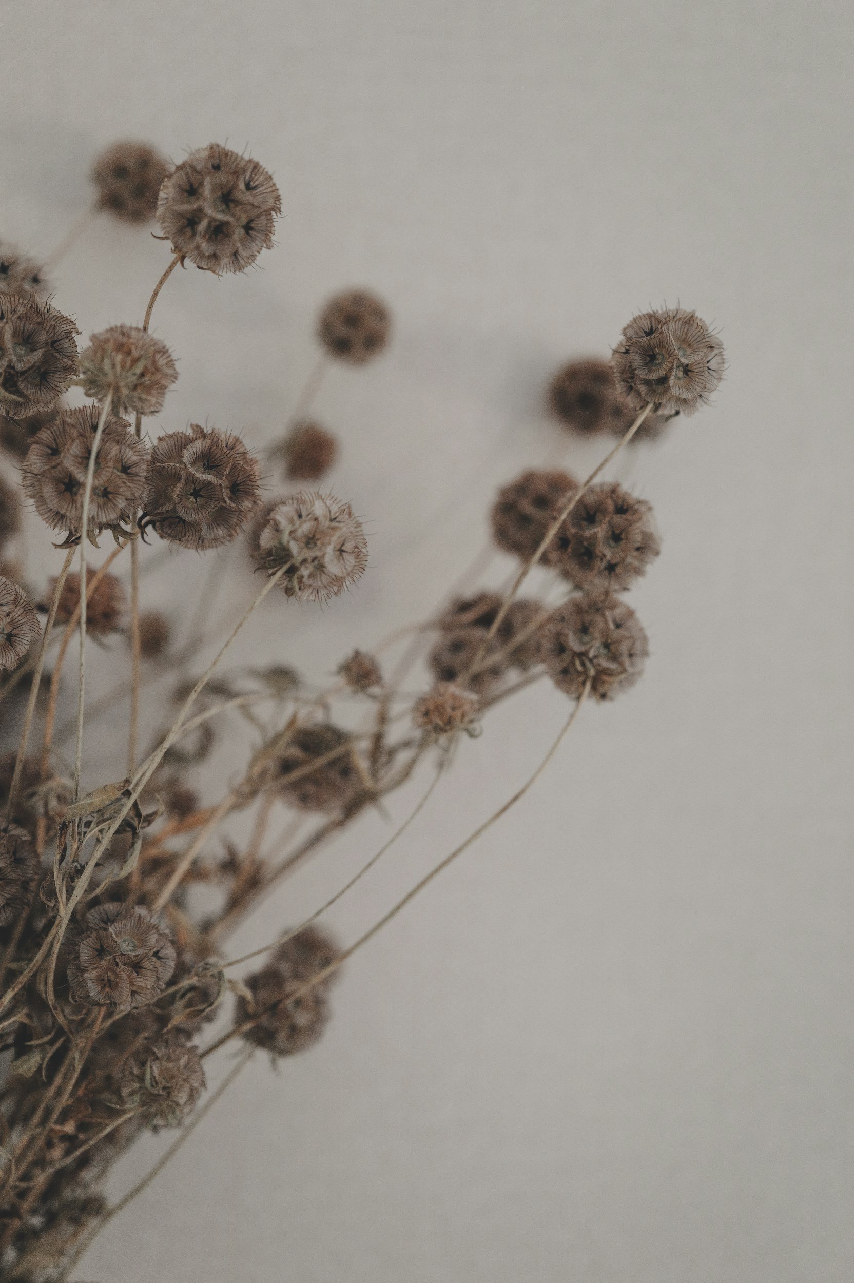 Why Emotional Safety Matters More Than Communication Skills&nbsp;