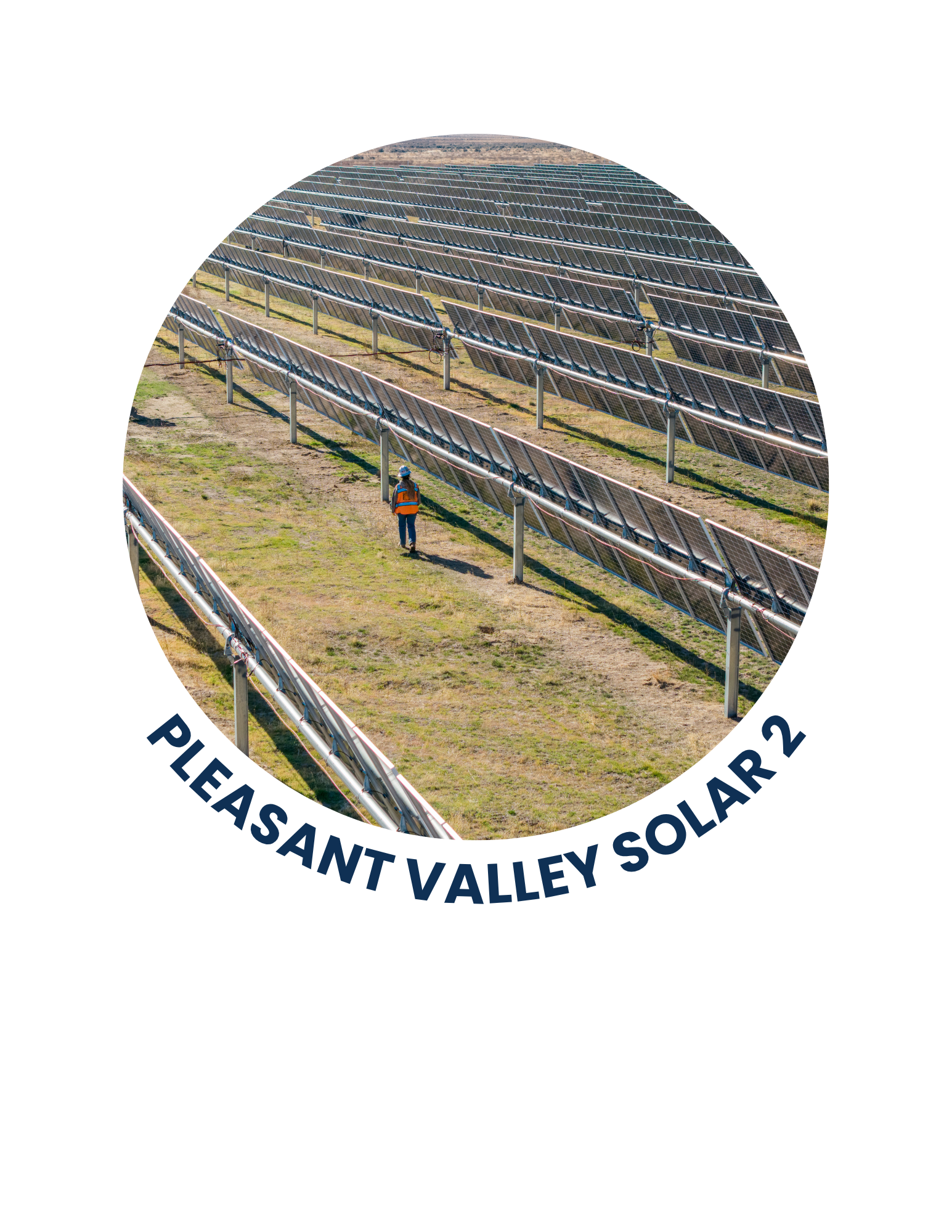 A worker in a blue helmet and orange vest walking among rows of solar panels at Pleasant Valley Solar Facility.
