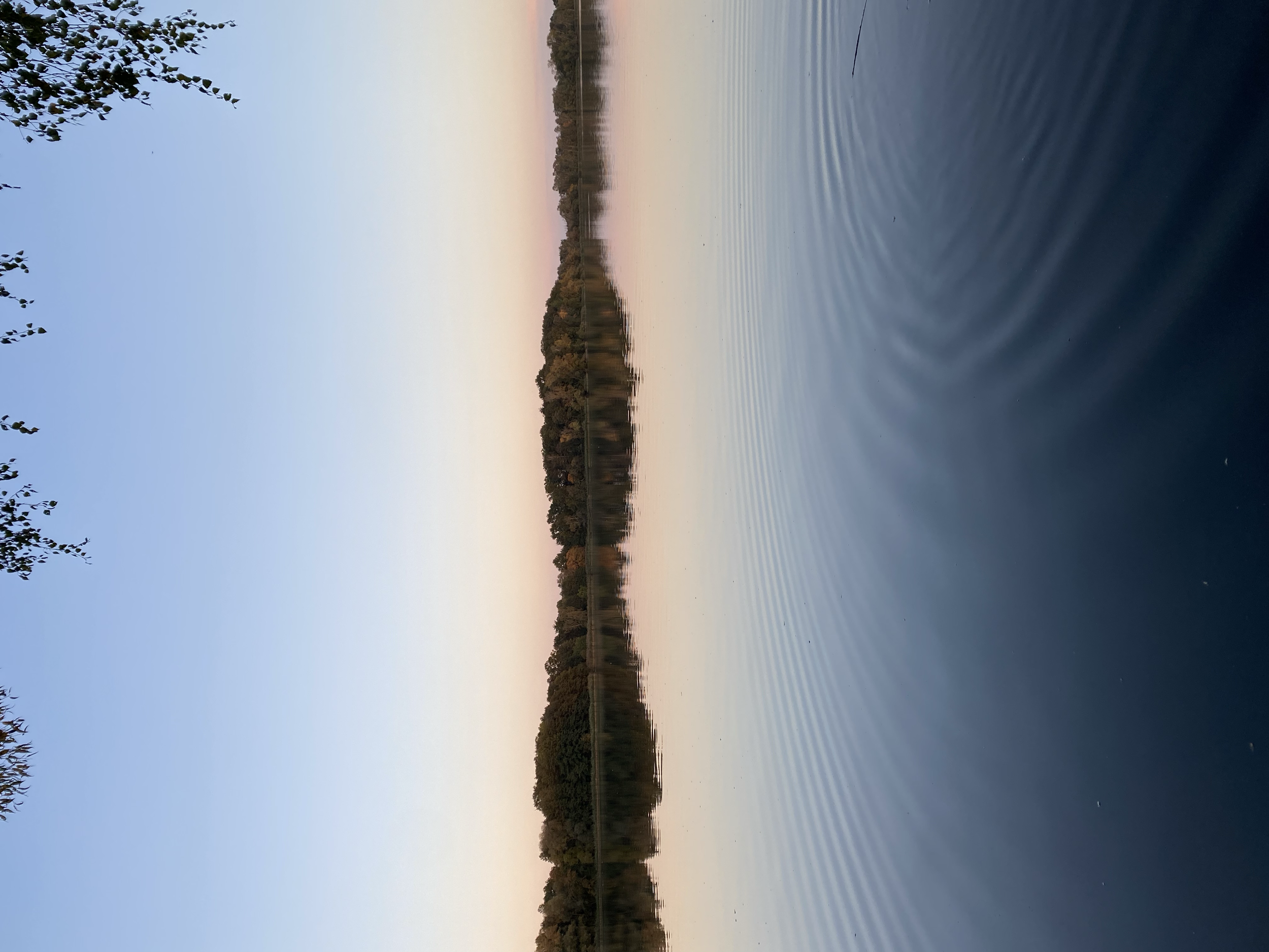 tempImage6h8ylh.png