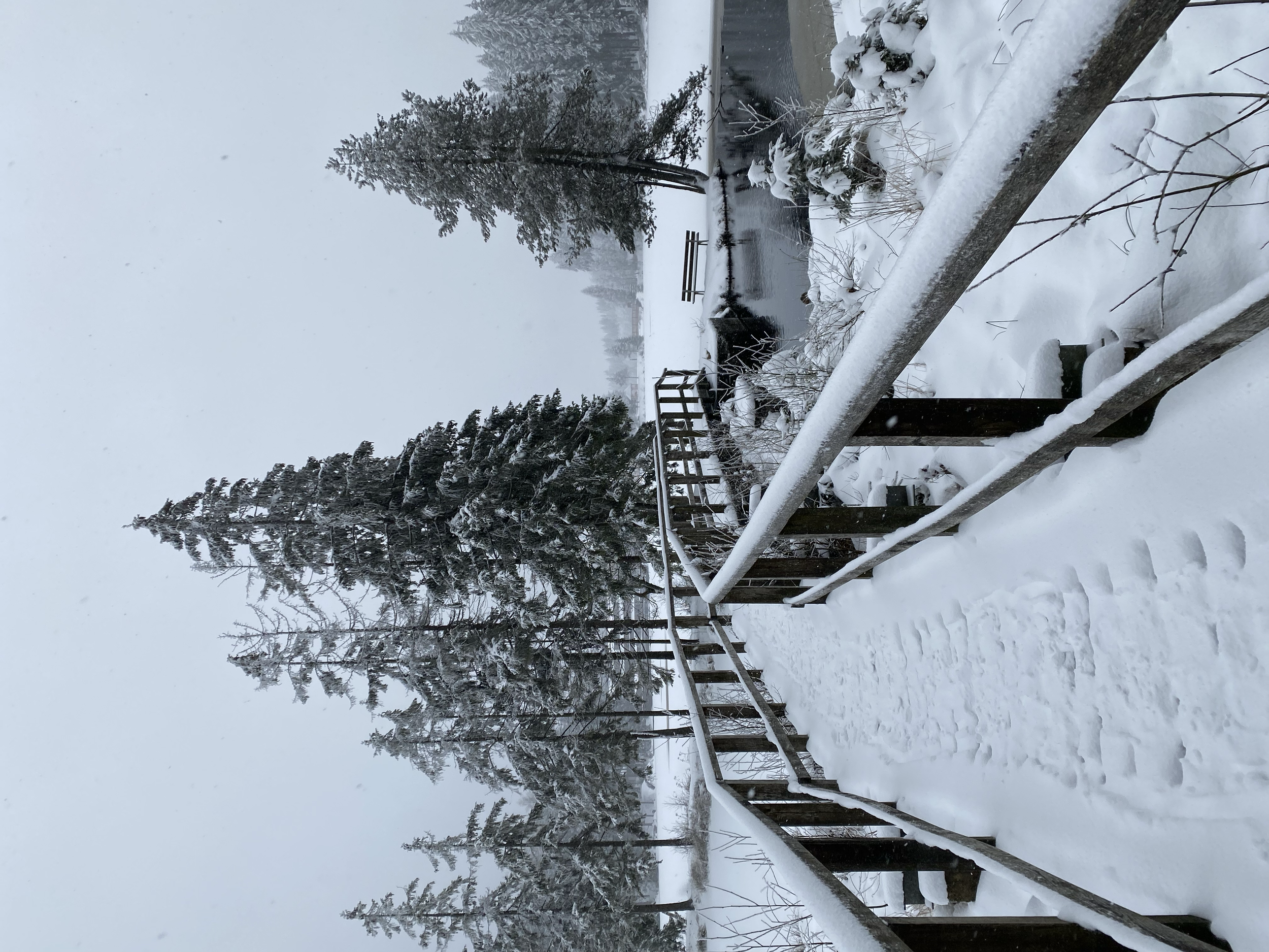 tempImagerpjBE0.png