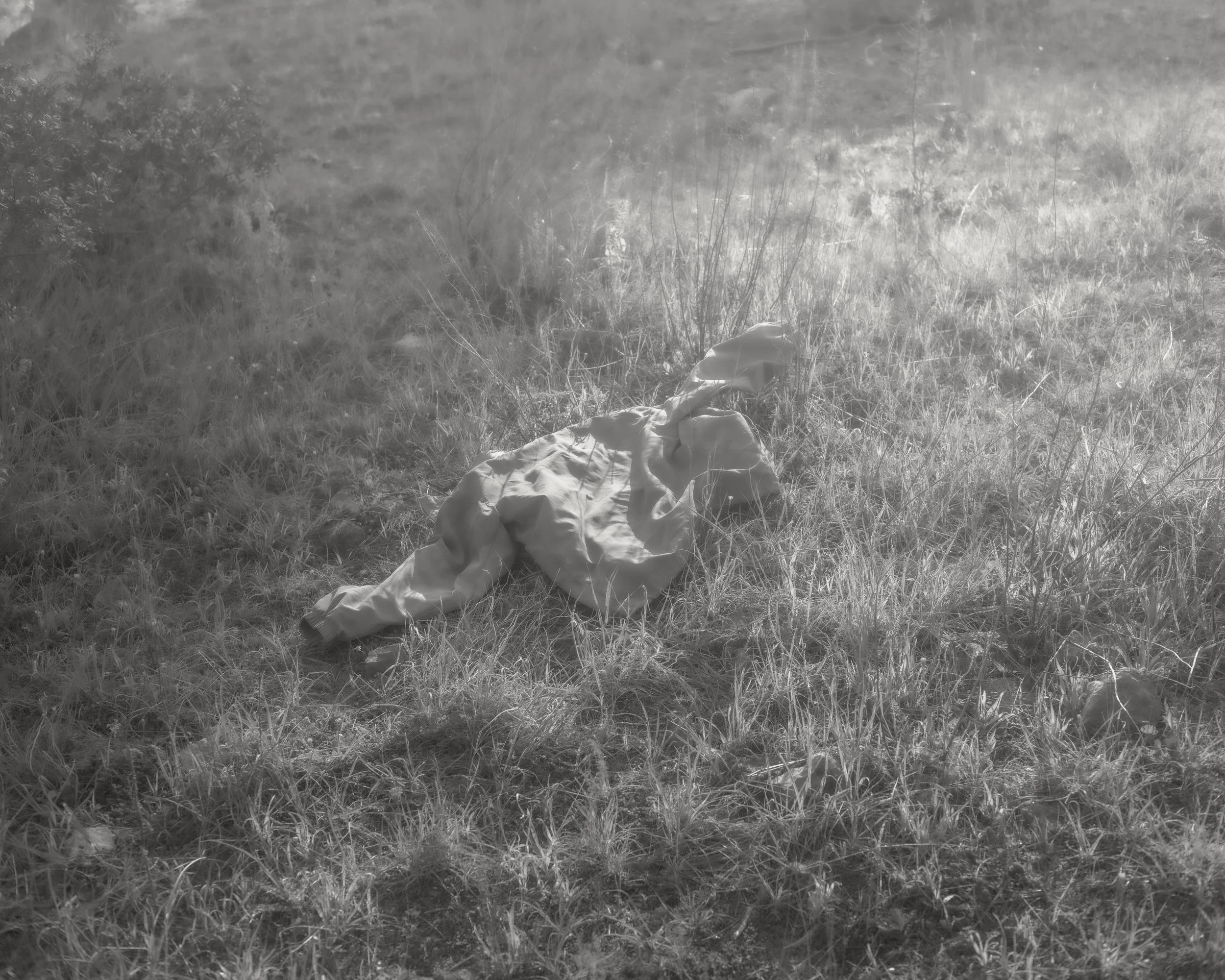 DSCF4939.jpg