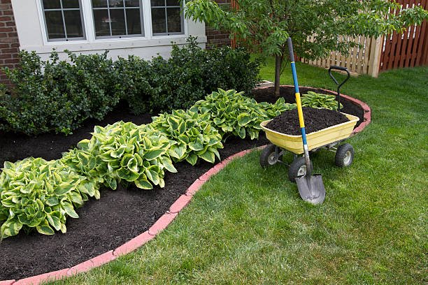 istockphoto-177391388-612x612.jpg