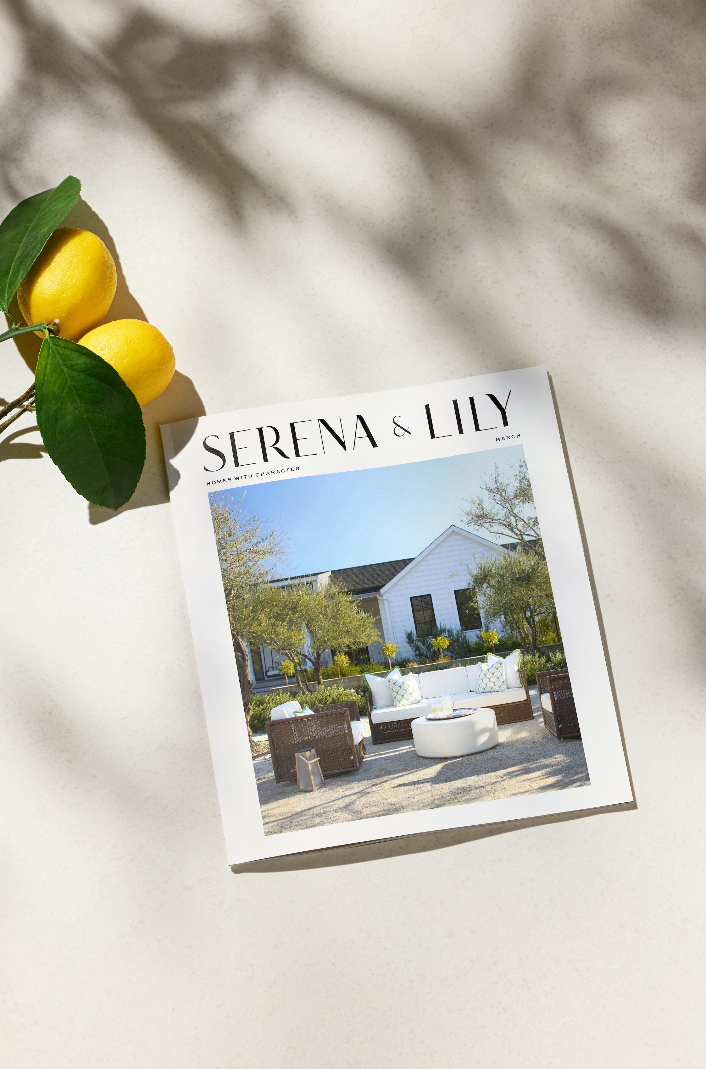 Catalog-Cover-Spring-2025-March-White-Larkhill-Stone-Coffee-Table-brand-x4588_SMALL.jpg