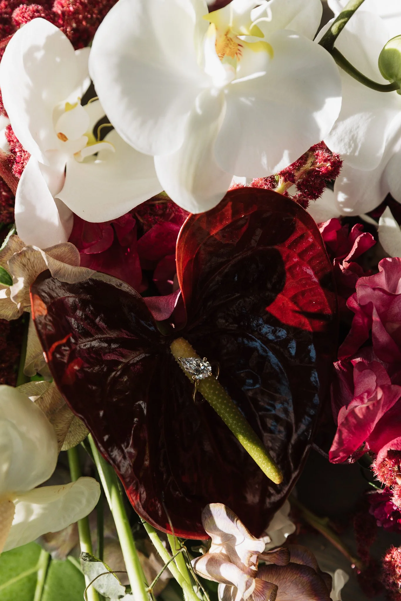 Close-up of white orchids, red leaves, and pink flowers arranged together.
