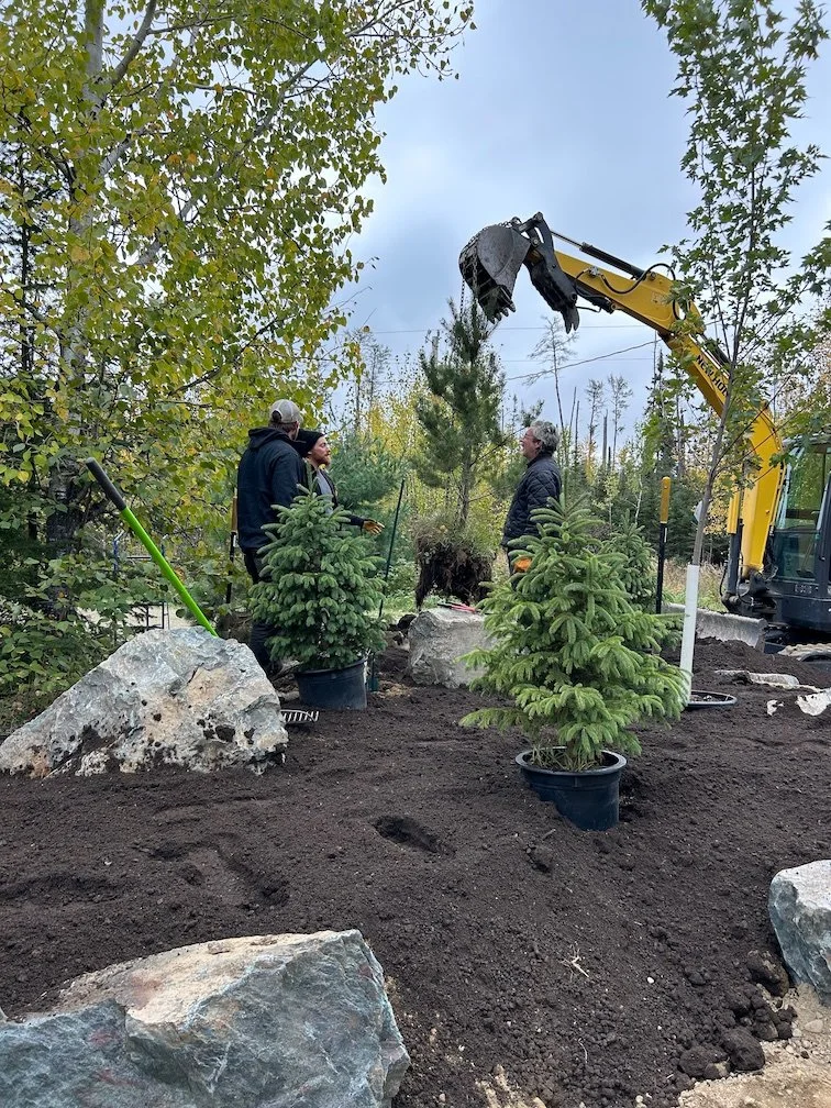 Landscapers planting trees near Ely, MN.