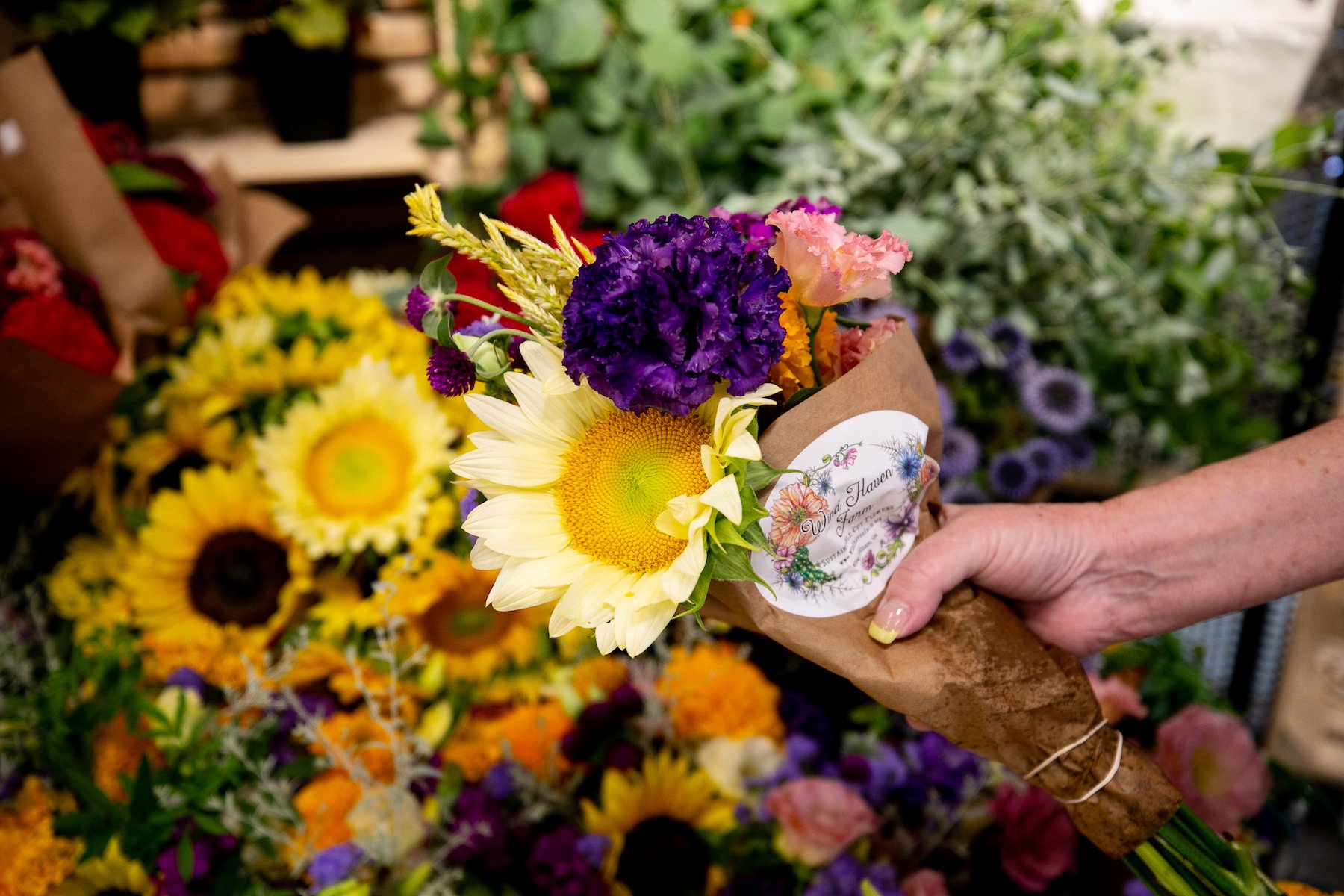 Ellwood Thompson’s Nourish Items Photo