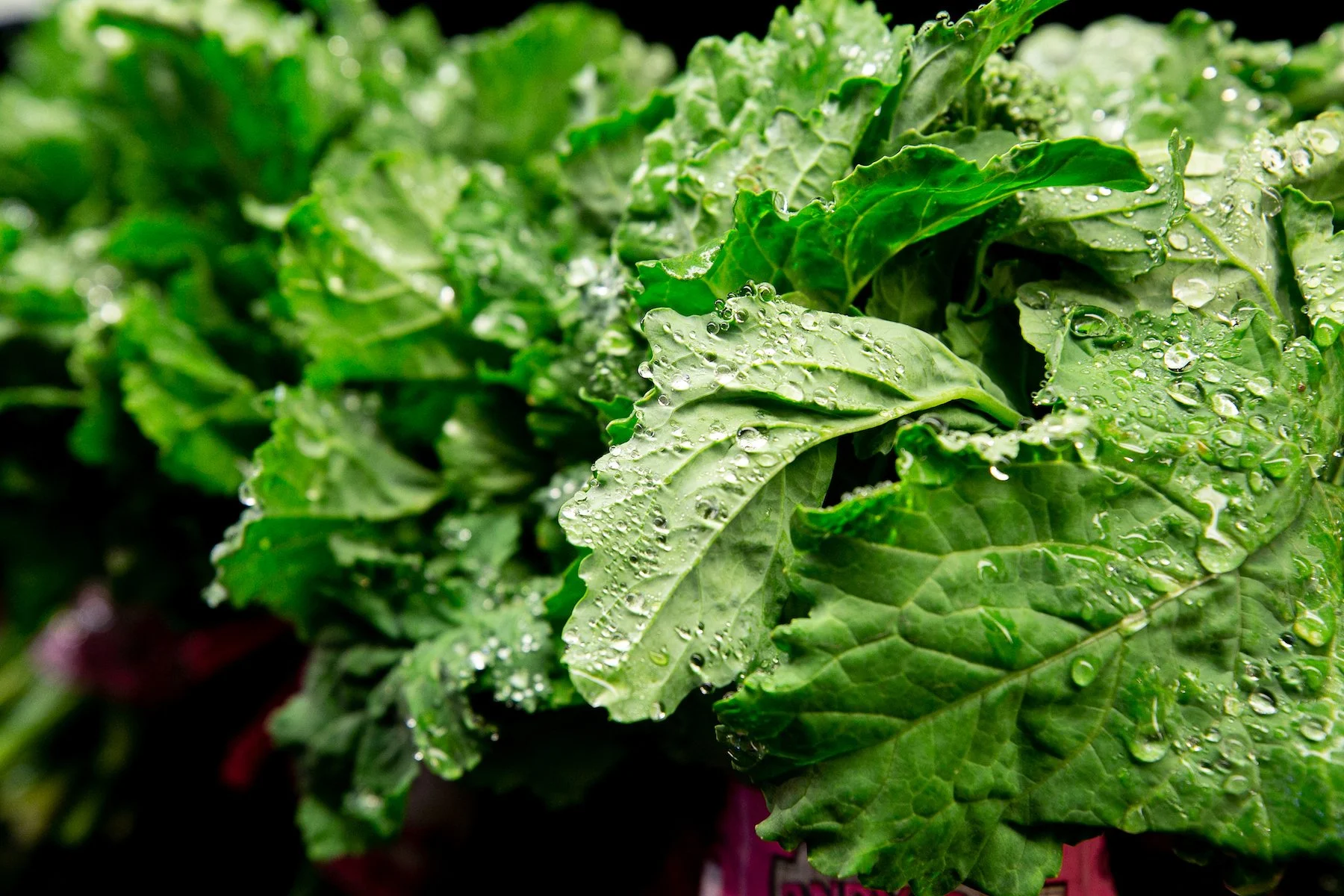 Ellwood Thompson’s Fresh Produce Items Photo
