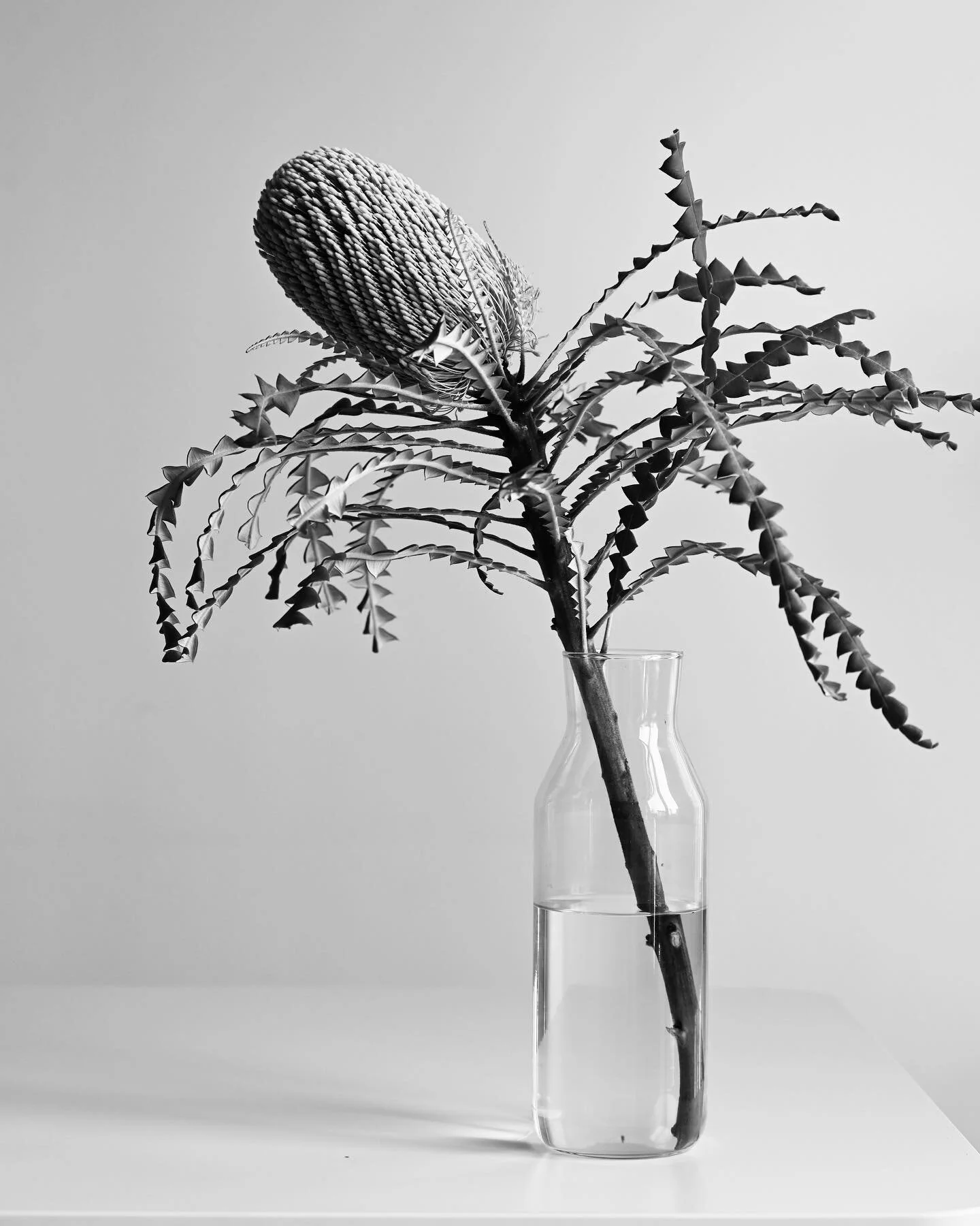 when @levitskaya_gala came to visit and took beautiful photos #inspiration #nature