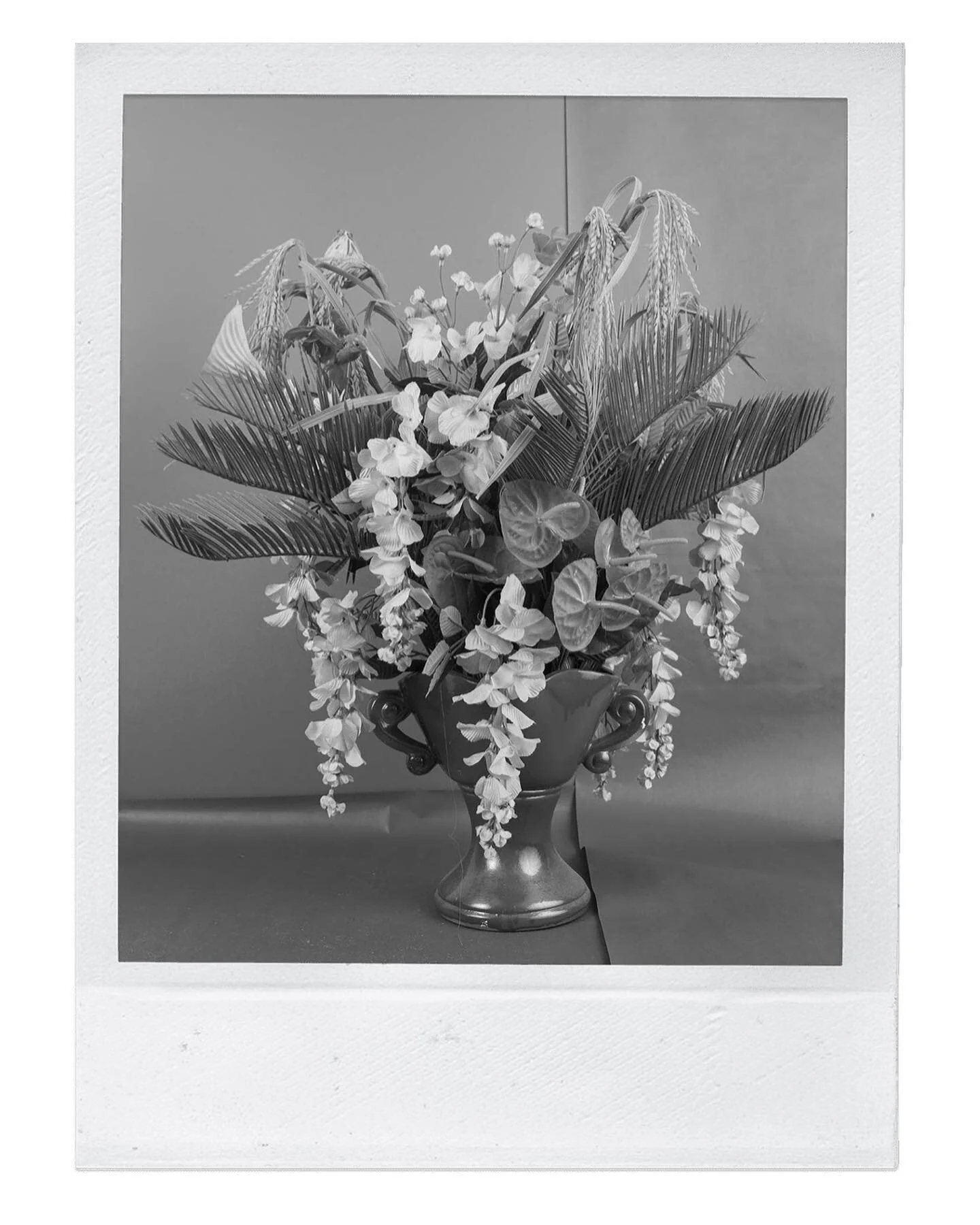 INSPIRATION: Greenery by @paohouaher at @whitneymuseum biennial