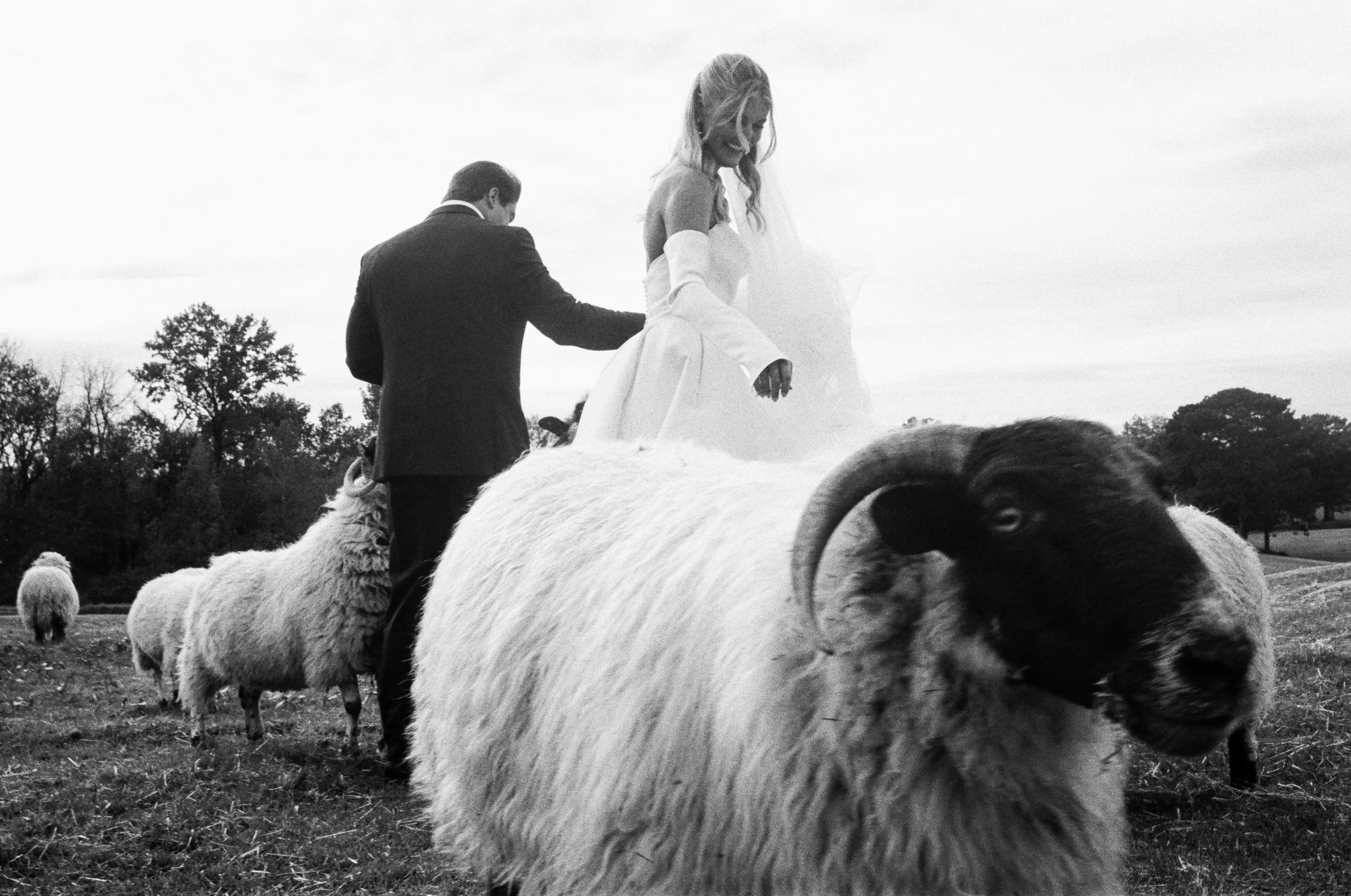 Portfolio 2026-1-2.jpg