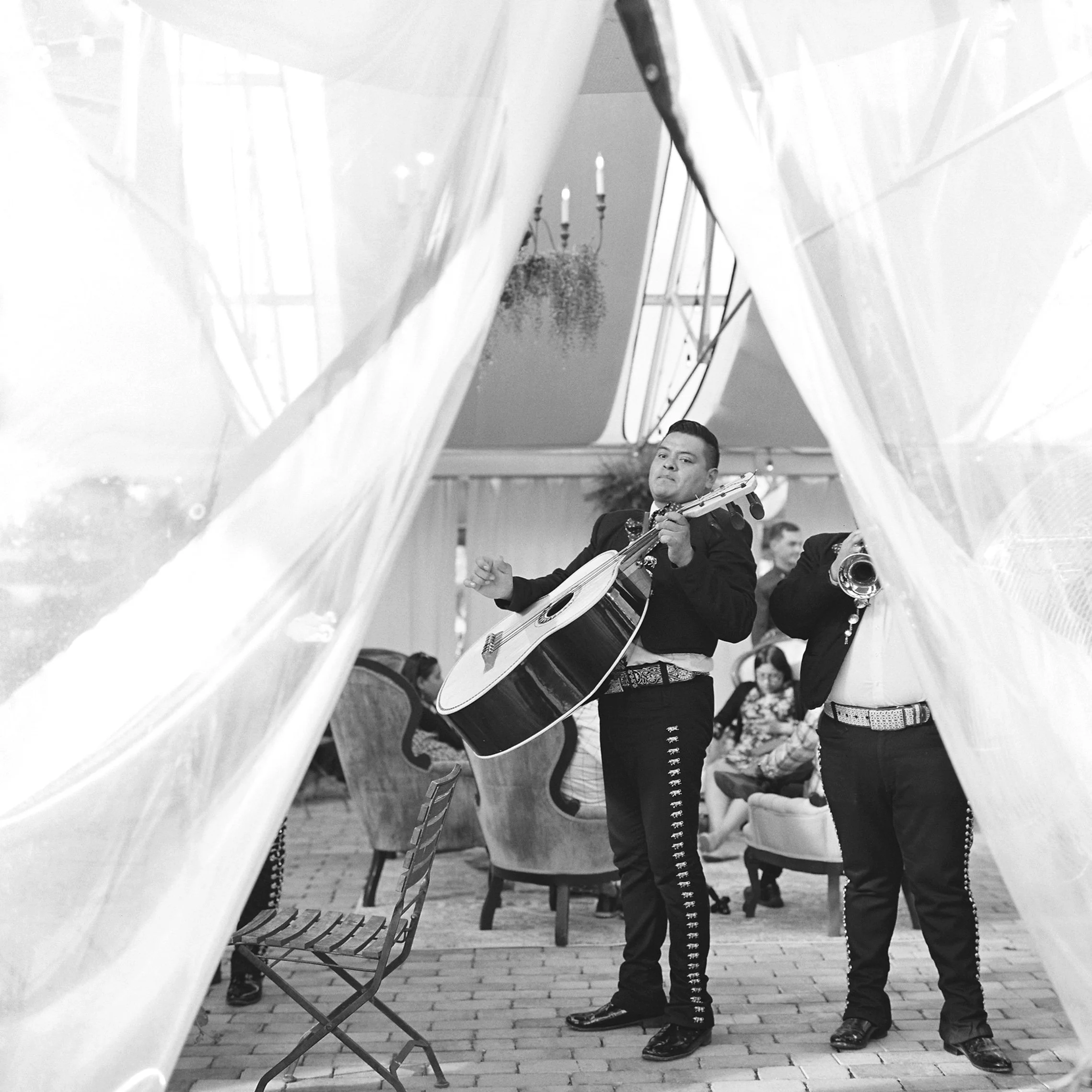 Musicians performing at a cultural venue, one playing guitar and others playing brass instruments, framed by curtains.
