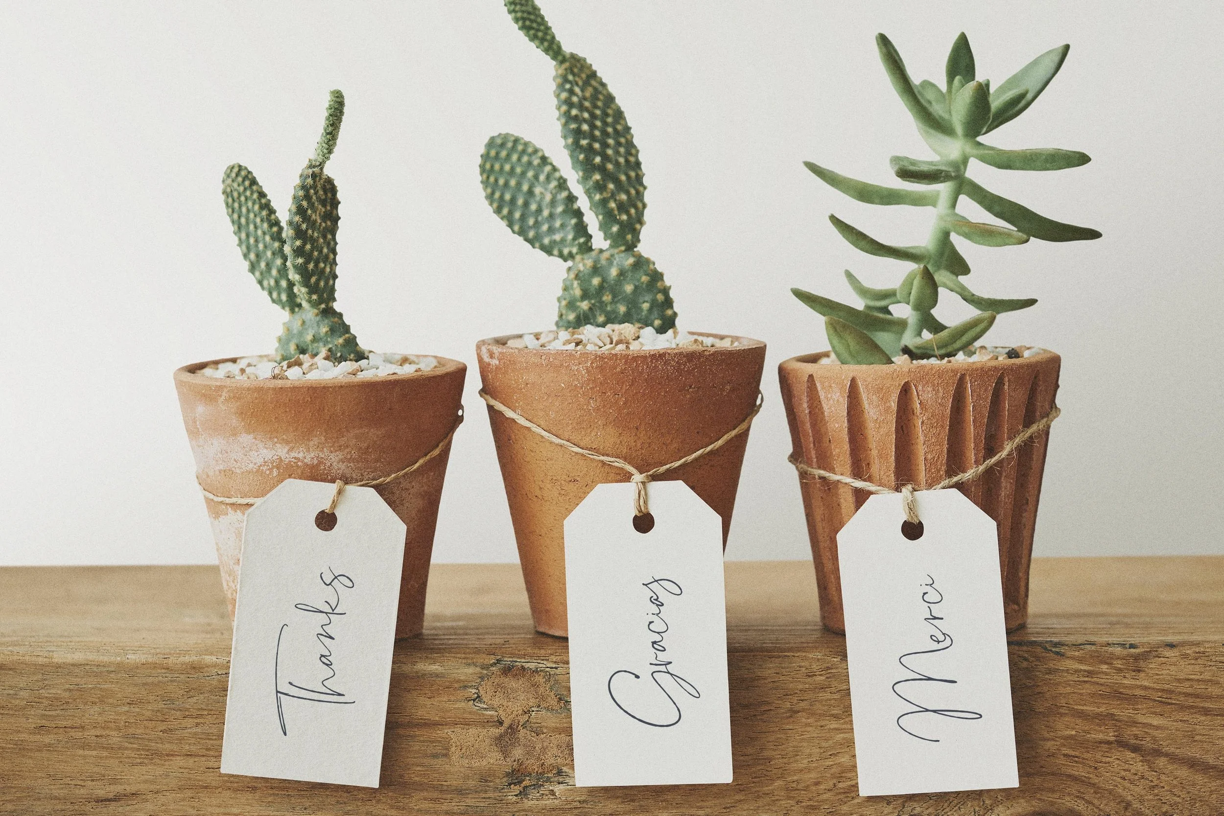 TuscanGarden_Preview9 copy.jpg