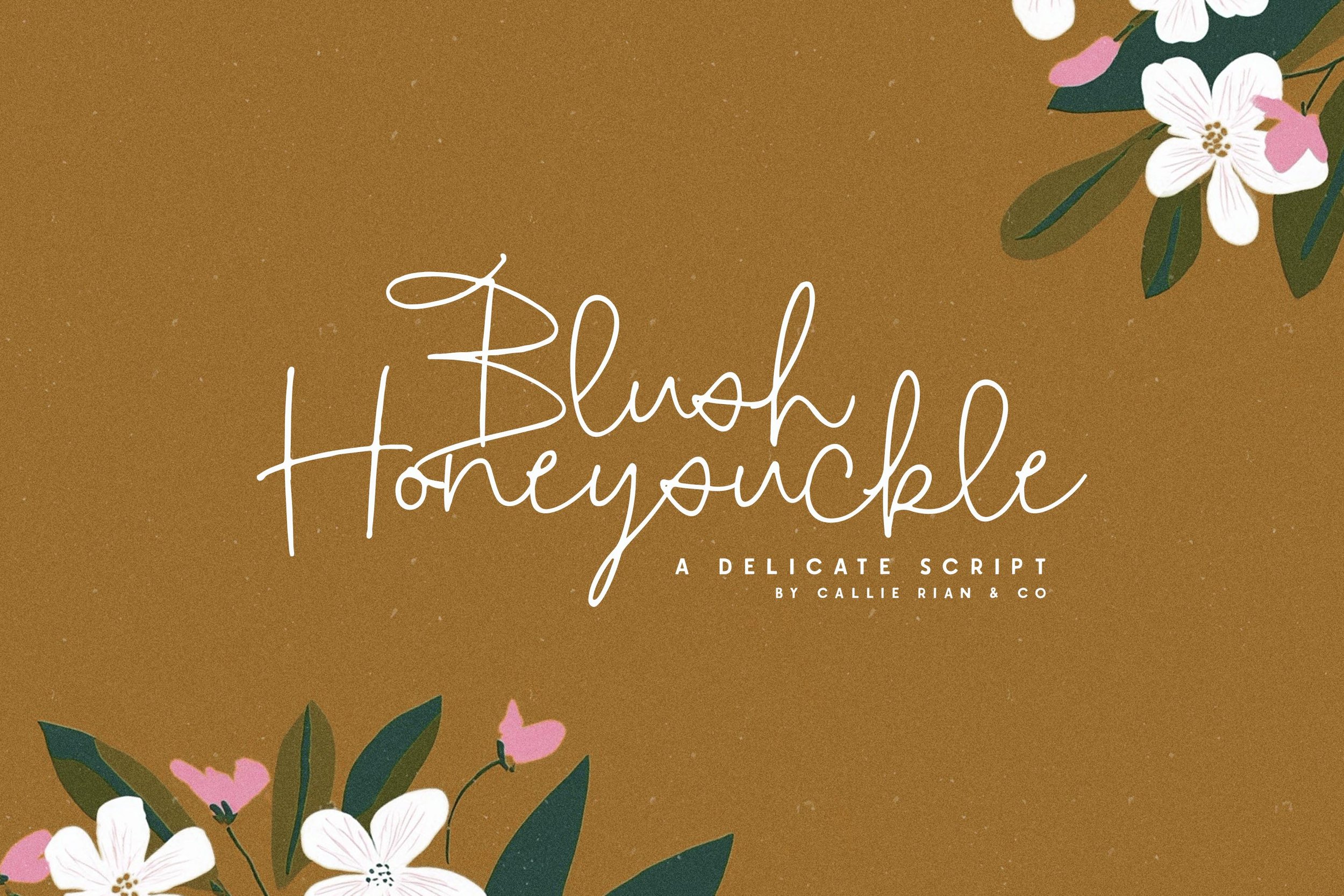 BlushHoneysuckle_Preview1 copy.jpg