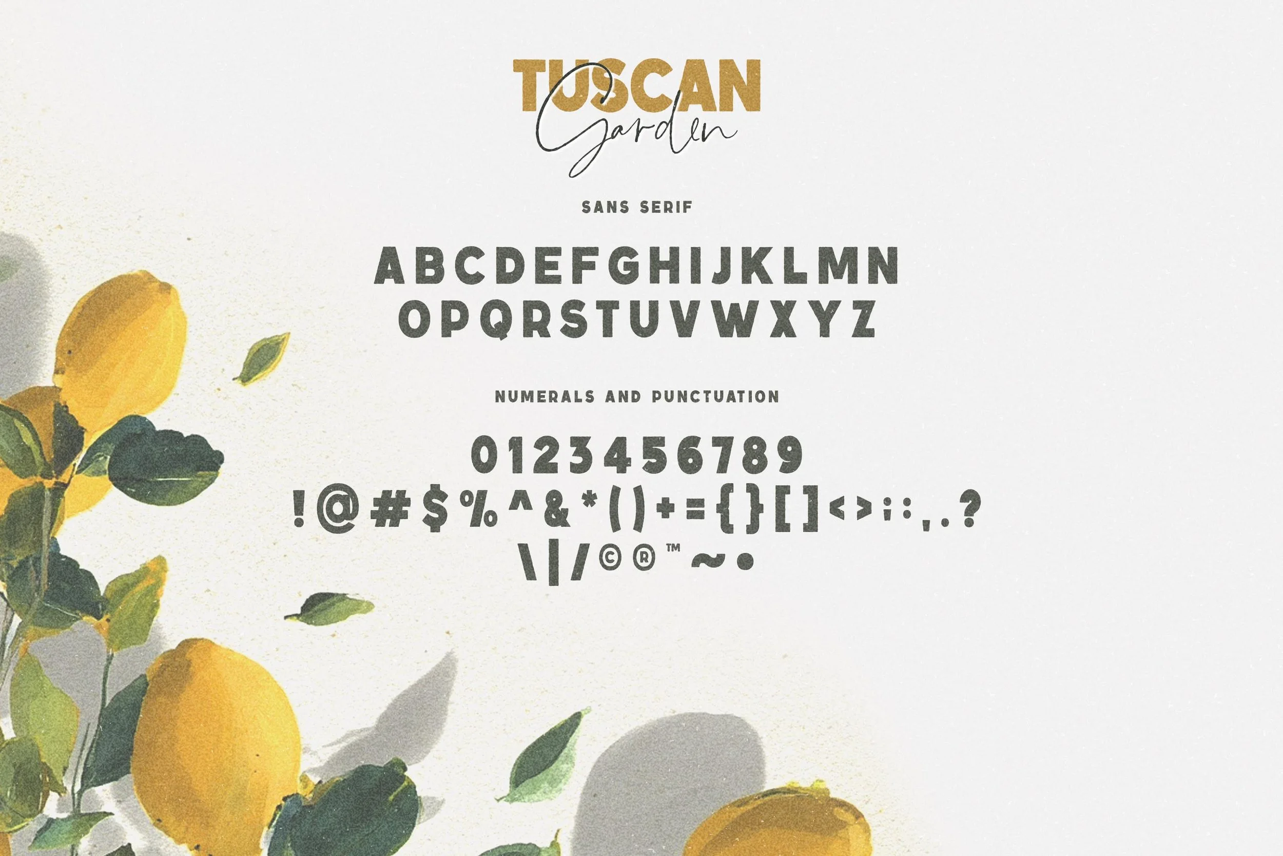 TuscanGarden_Preview13 copy.jpg