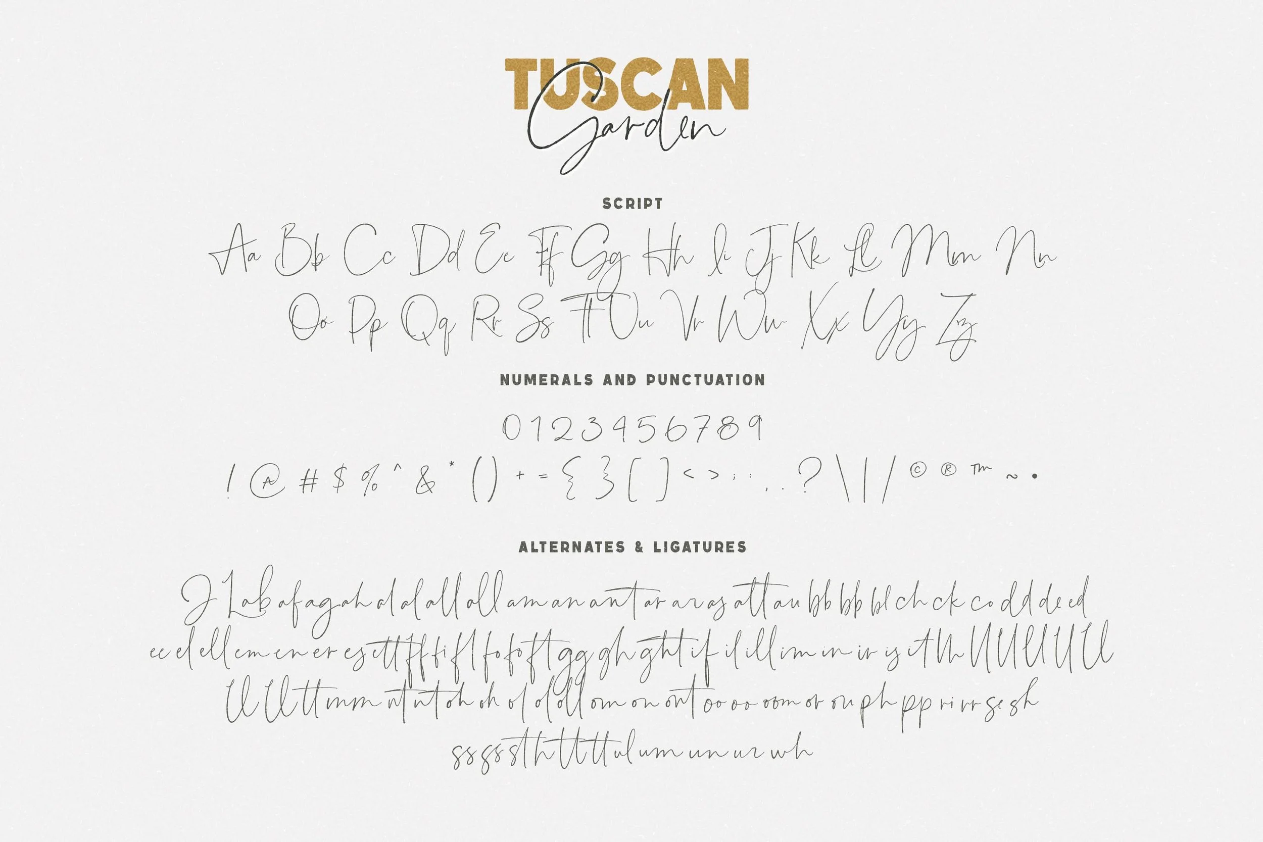 TuscanGarden_Preview14 copy.jpg