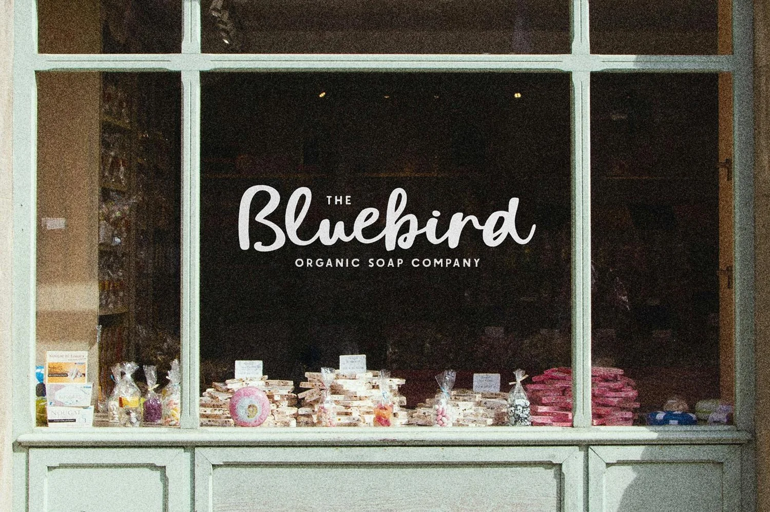 PhesantAndFinch_Preview12 copy.jpg