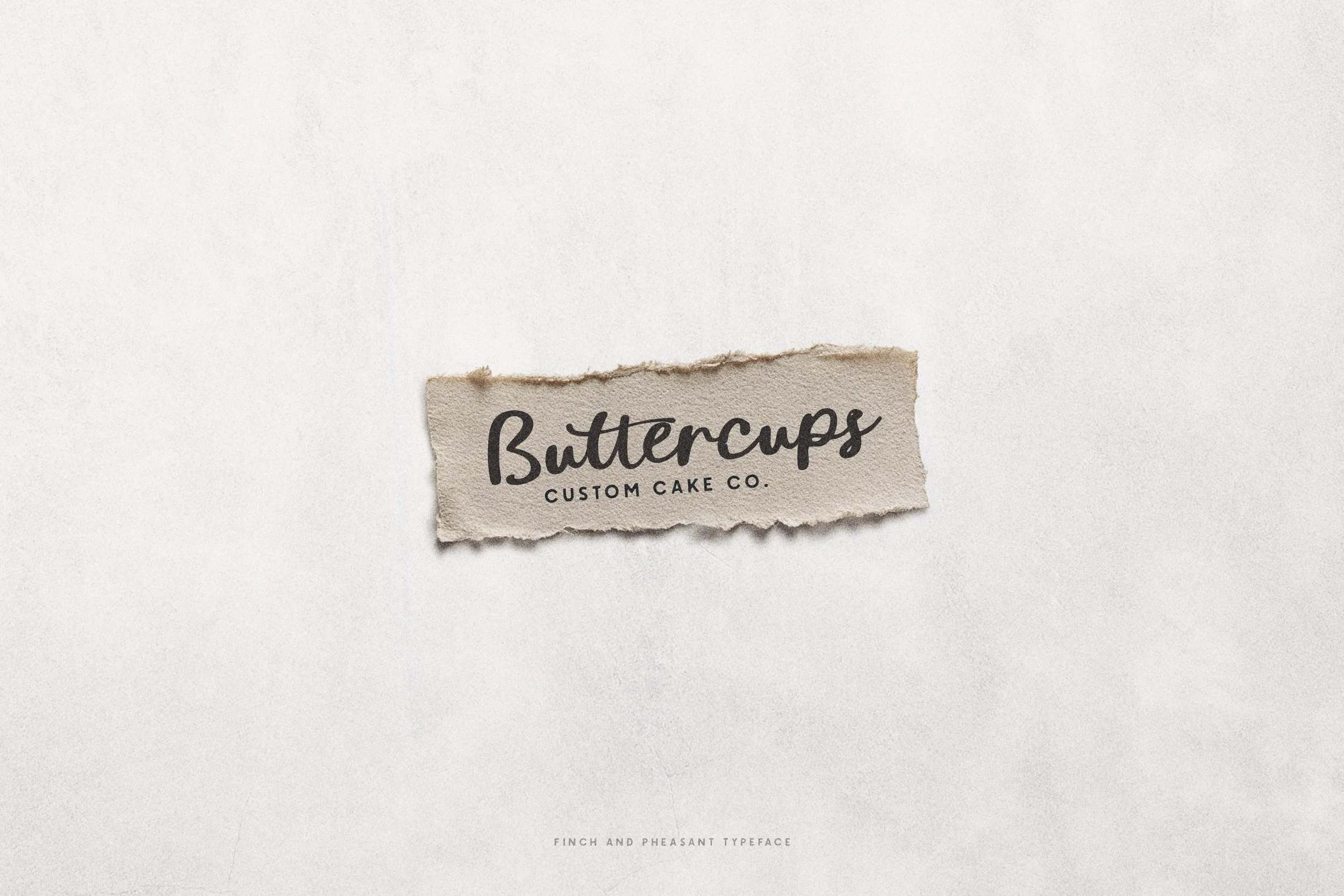 PhesantAndFinch_Preview10 copy.jpg